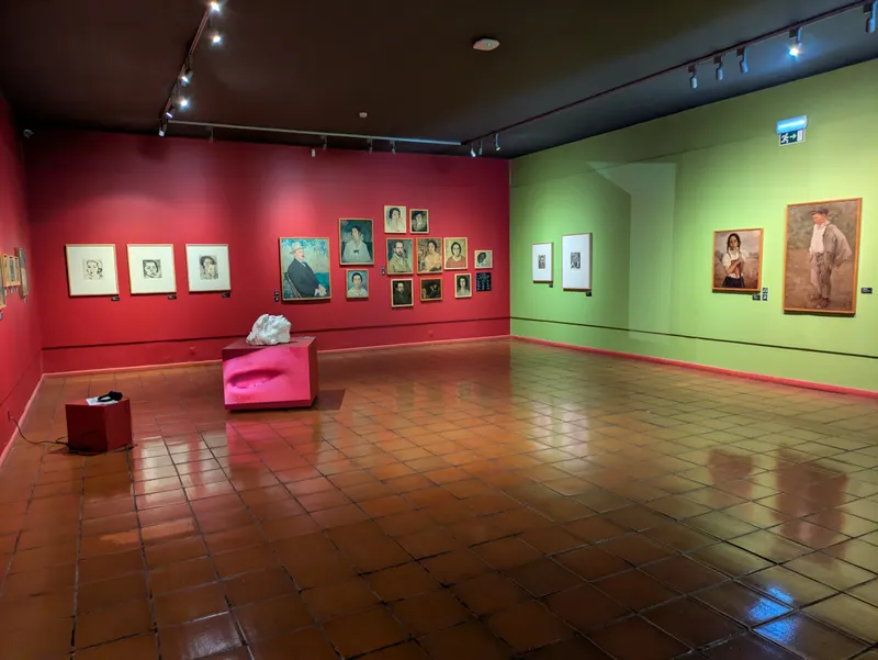 Henrique and Francisco Franco Museum — Museum in Funchal