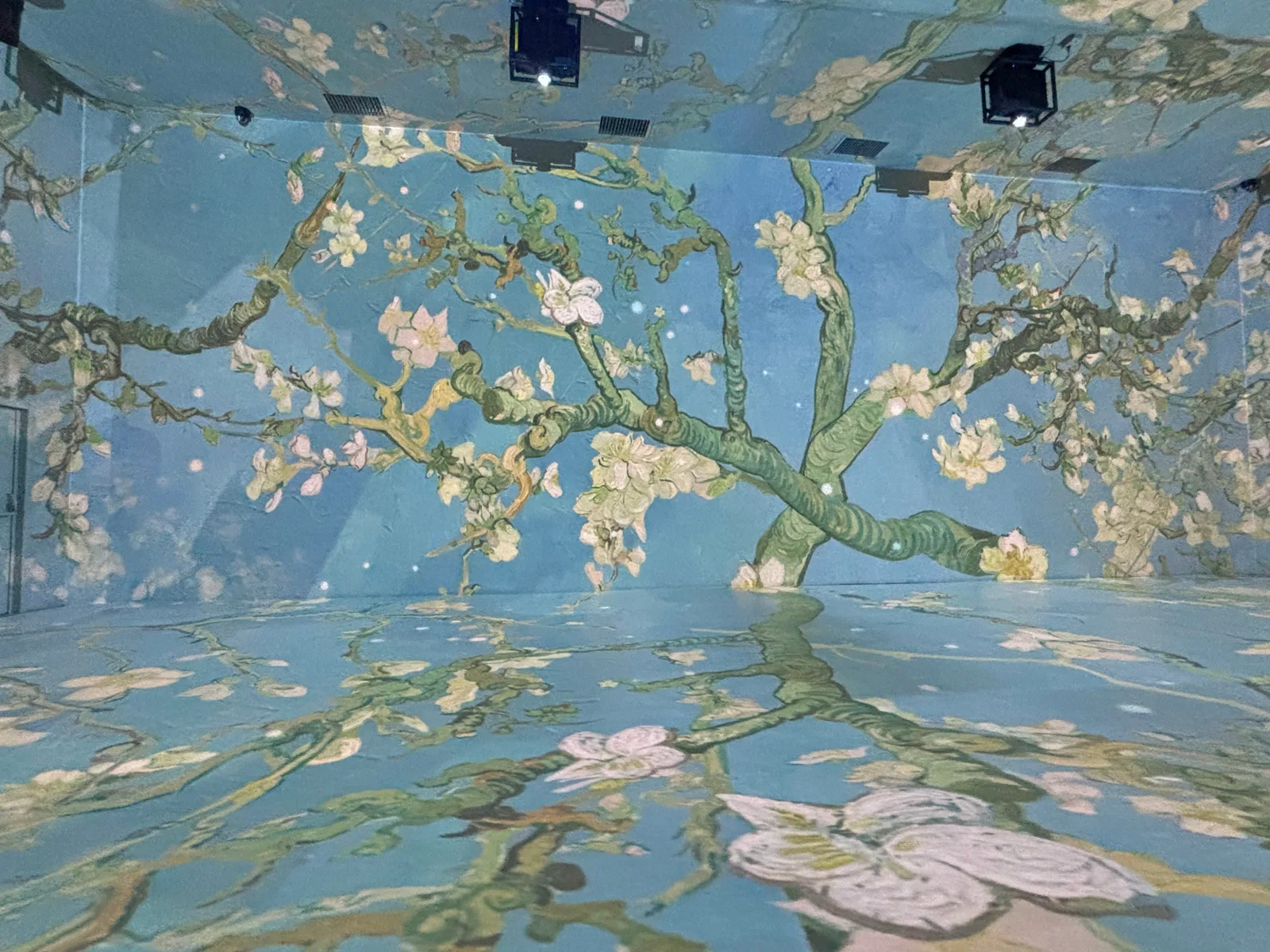 Atmosphere at IMOM - Immersive Museum of Madeira Funchal — travel photo