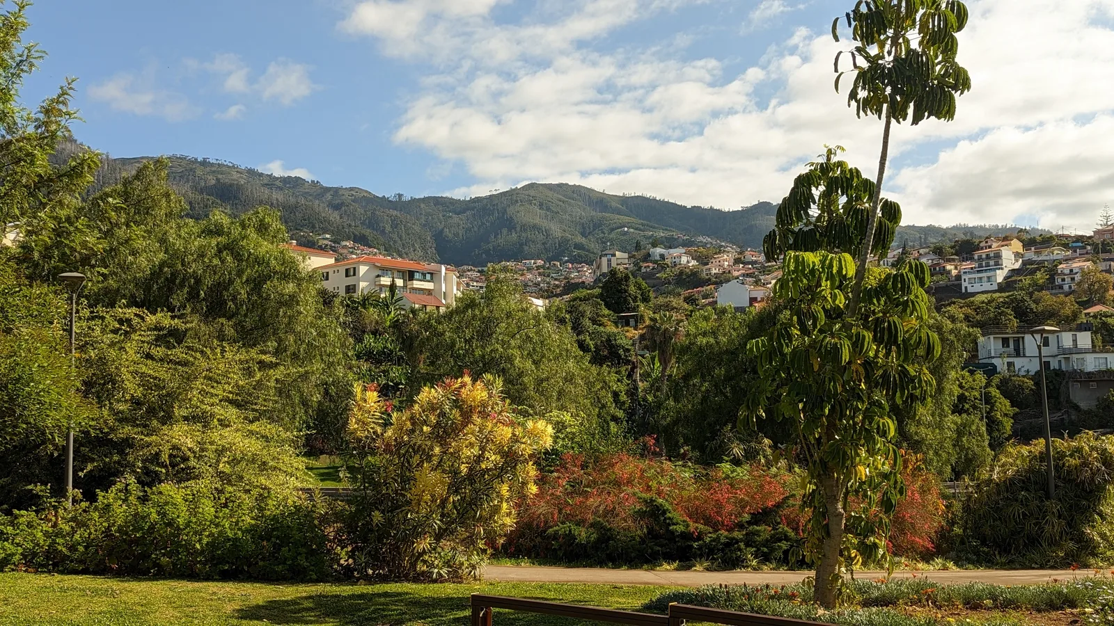 Details at Jardim da Madalena Funchal — travel photo