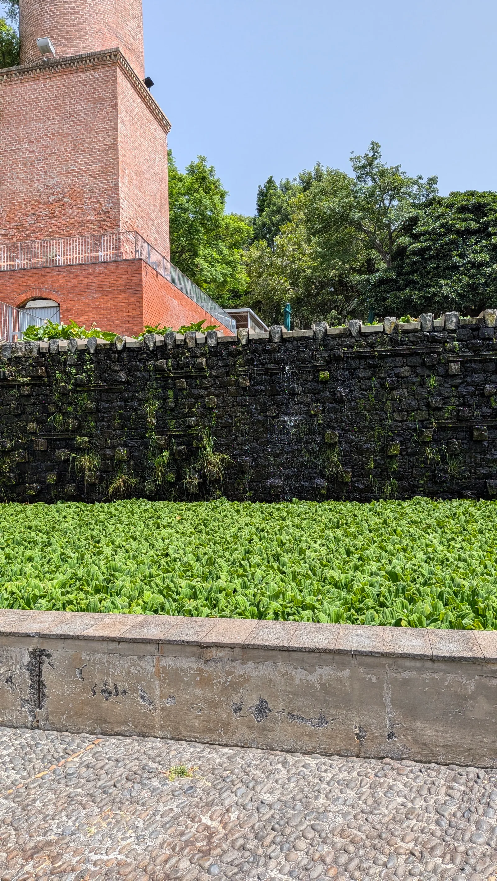 Main view at Jardim de Santa Luzia Funchal — travel photo