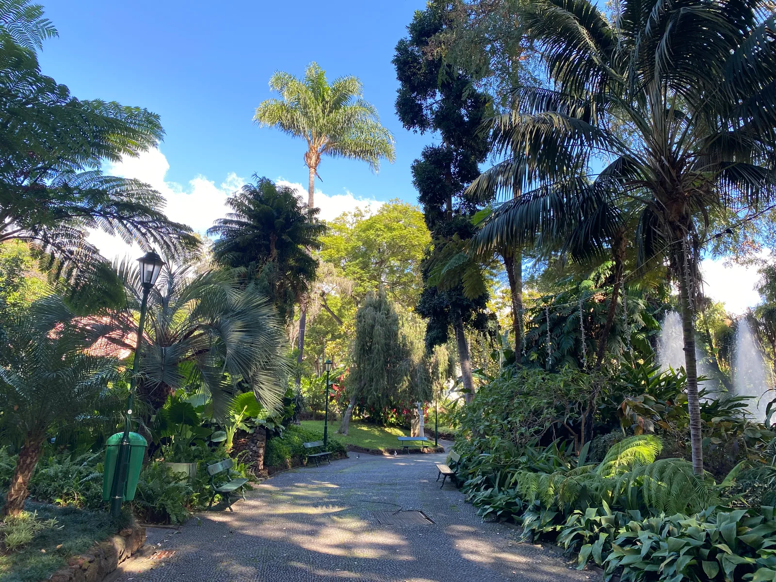 Details at Jardim Municipal do Funchal Funchal — travel photo