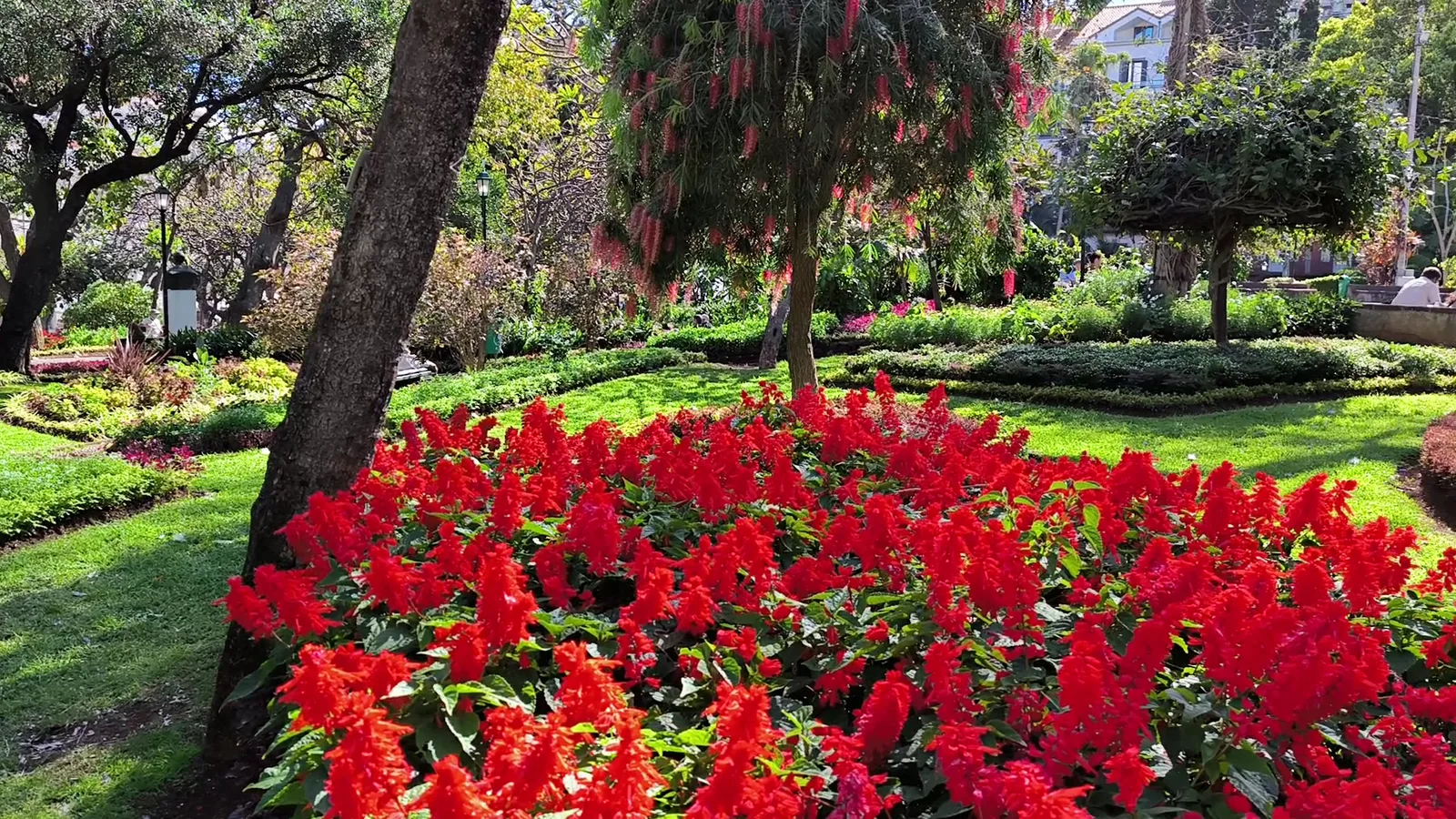 Atmosphere at Jardim Municipal do Funchal Funchal — travel photo