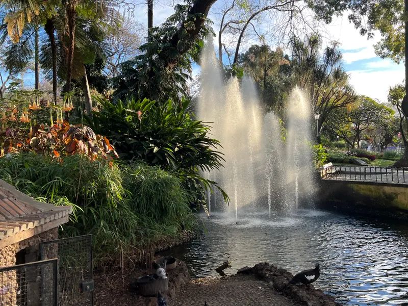 Jardim Municipal do Funchal