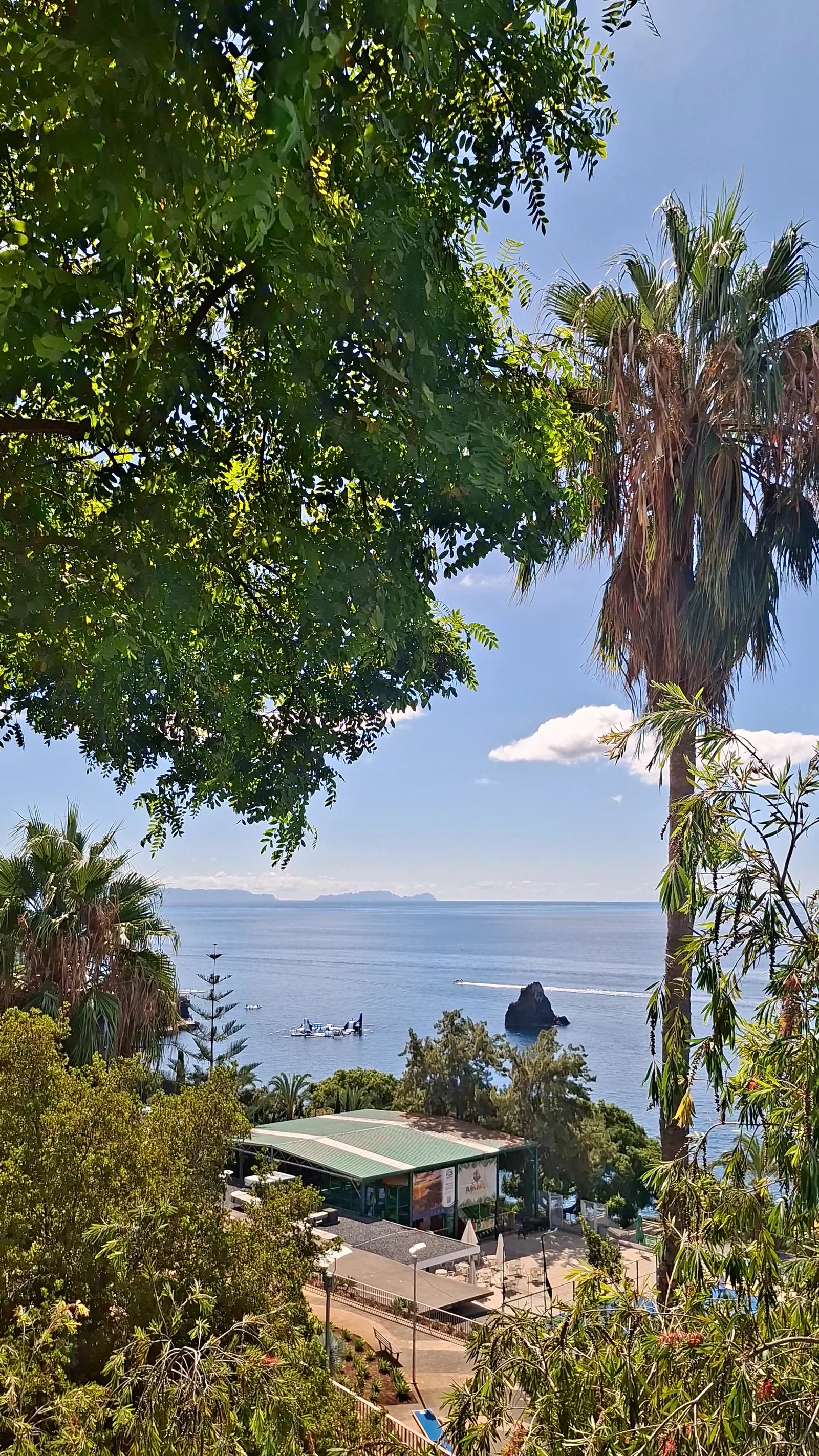 Main view at Jardim Panorâmico Funchal — travel photo