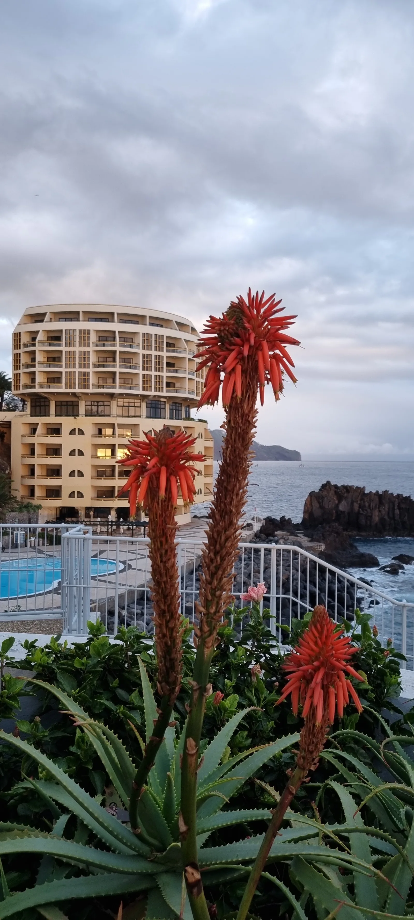 Main view at Jardins do Lido Funchal — travel photo