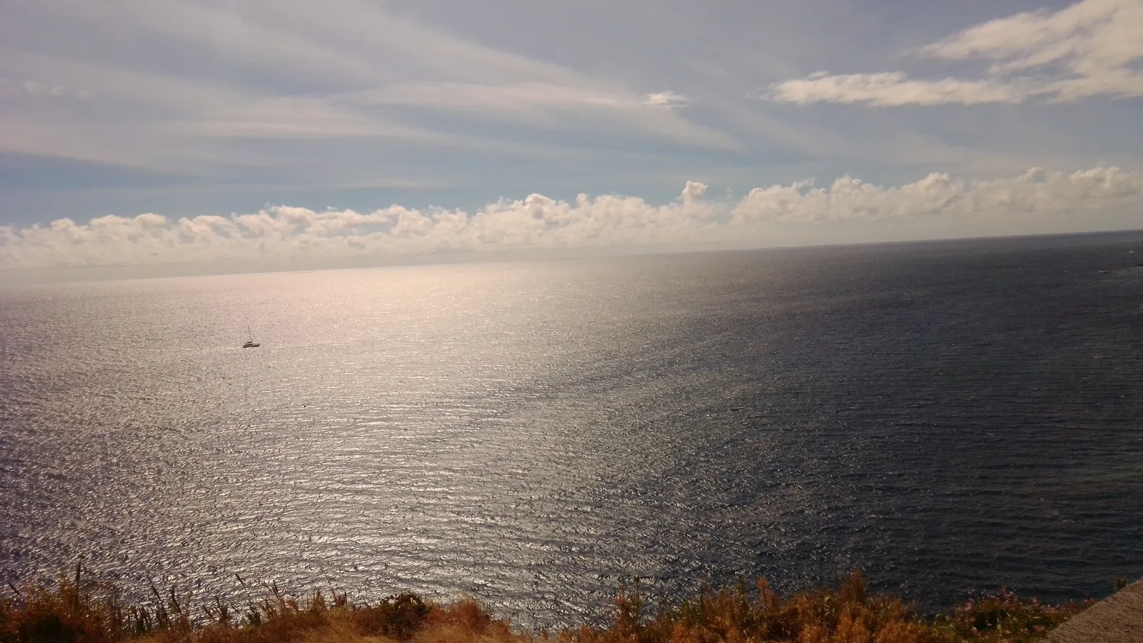 Details at Lazareto viewpoint Funchal — travel photo