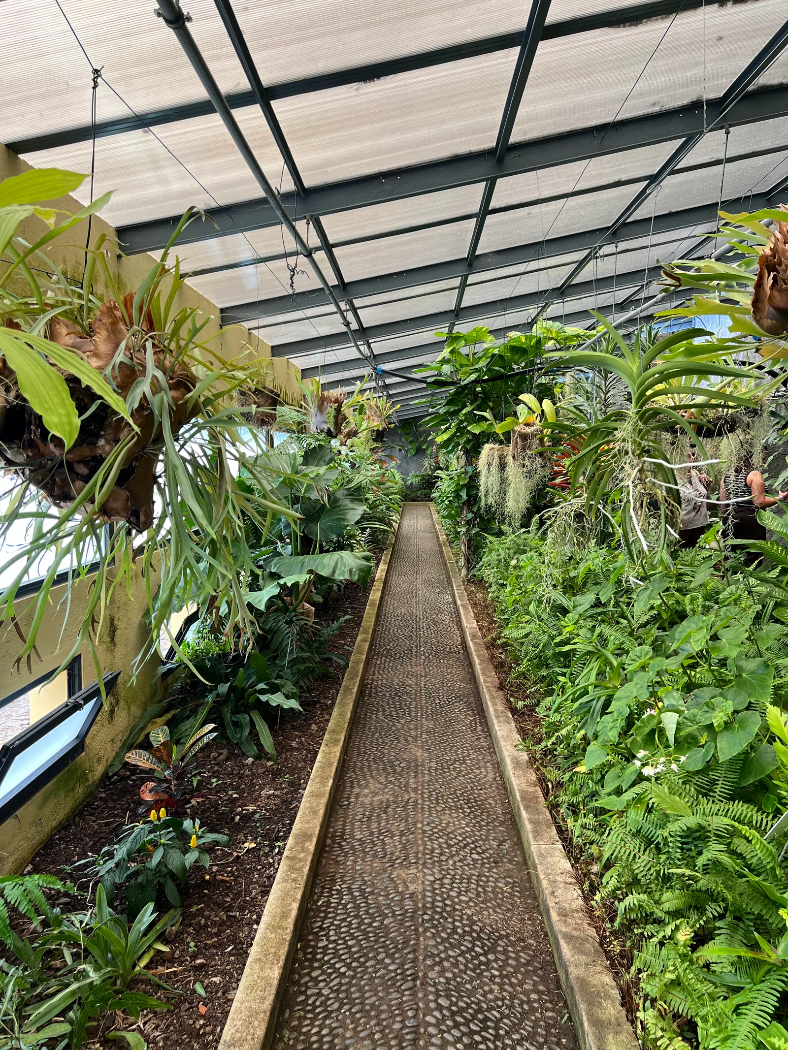 Main view at Madeira Botanical Garden Funchal — travel photo