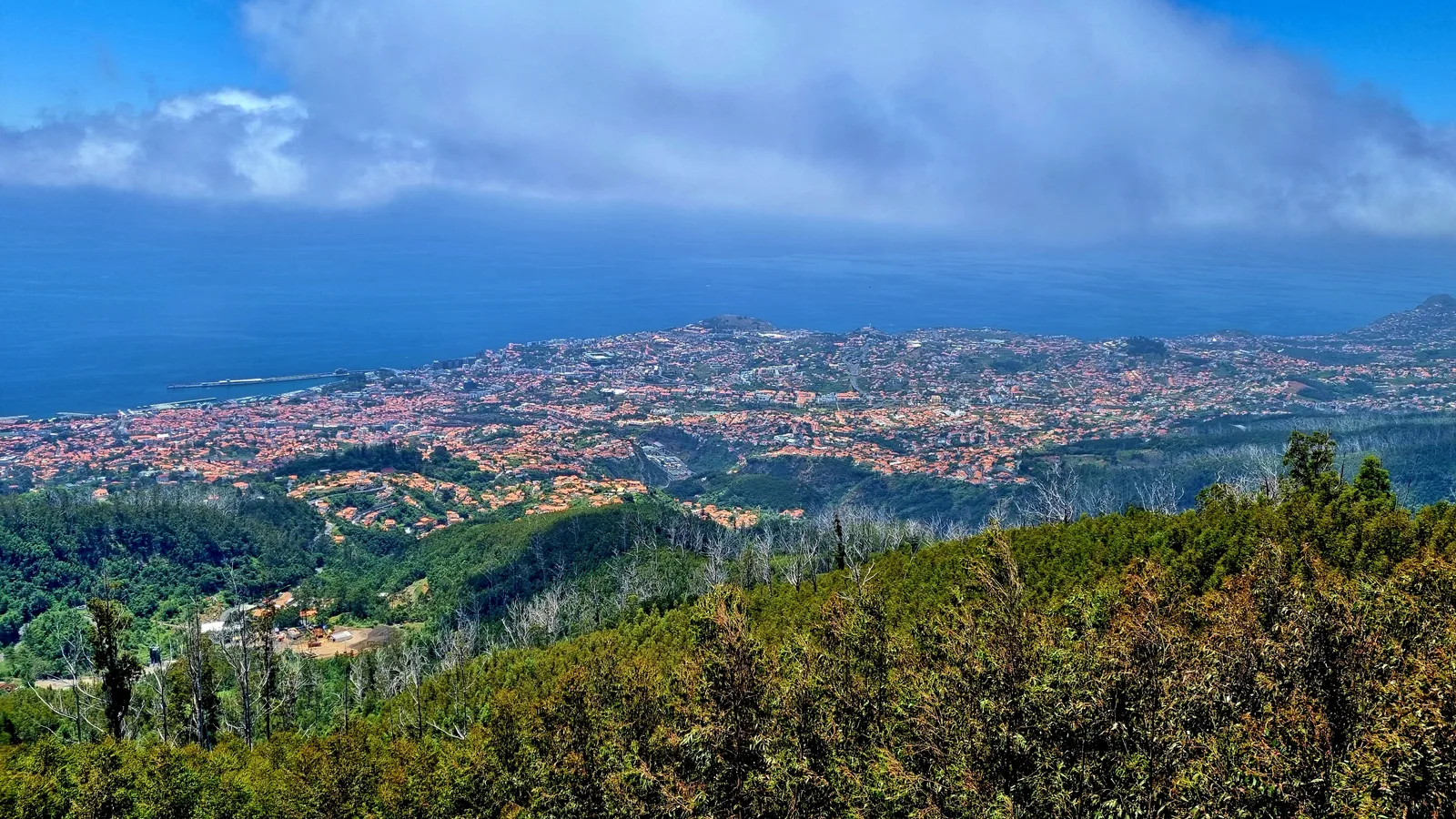 Main view at Miradouro do Pico Alto Funchal — travel photo
