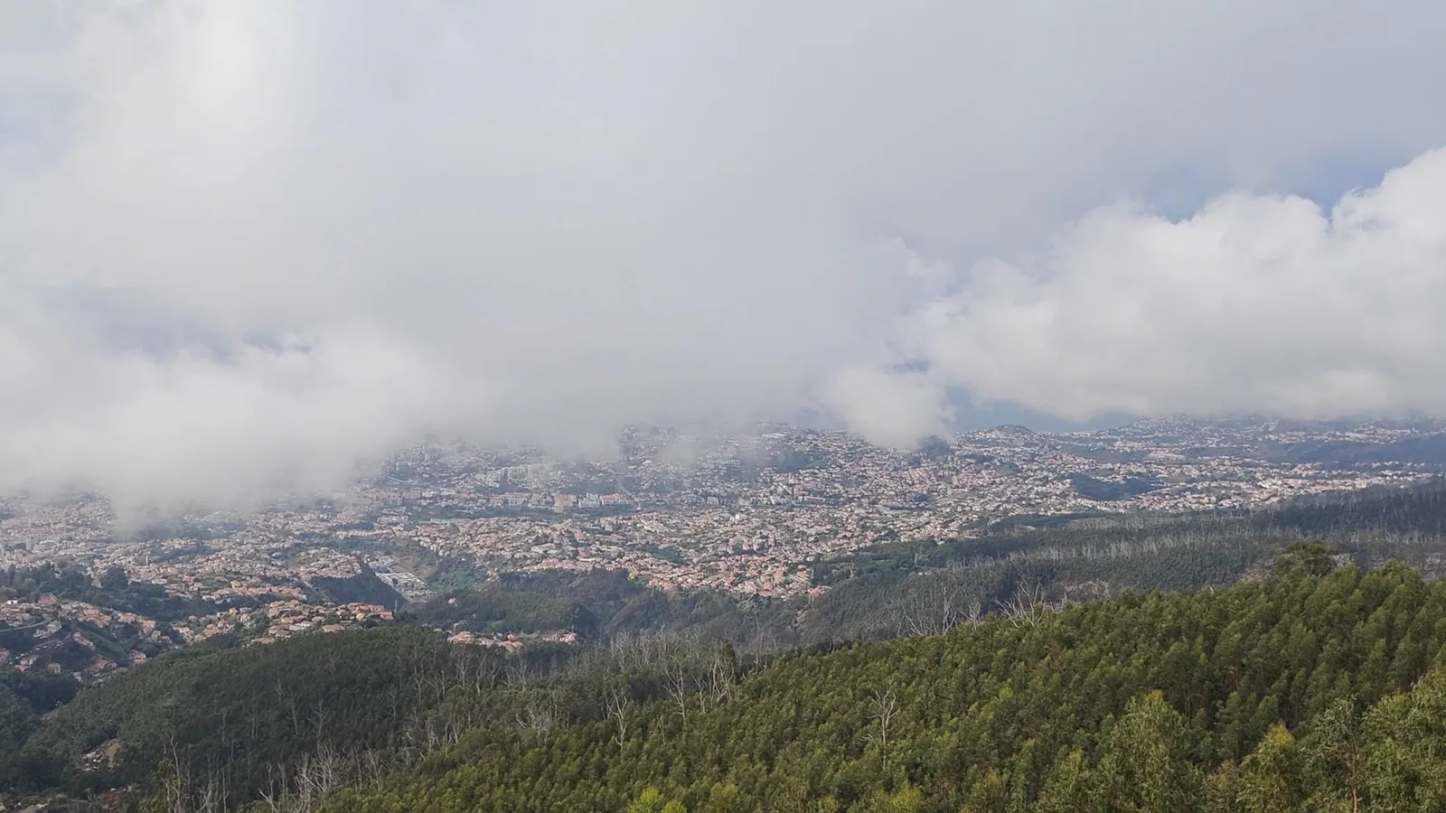 Details at Miradouro do Pico Alto Funchal — travel photo