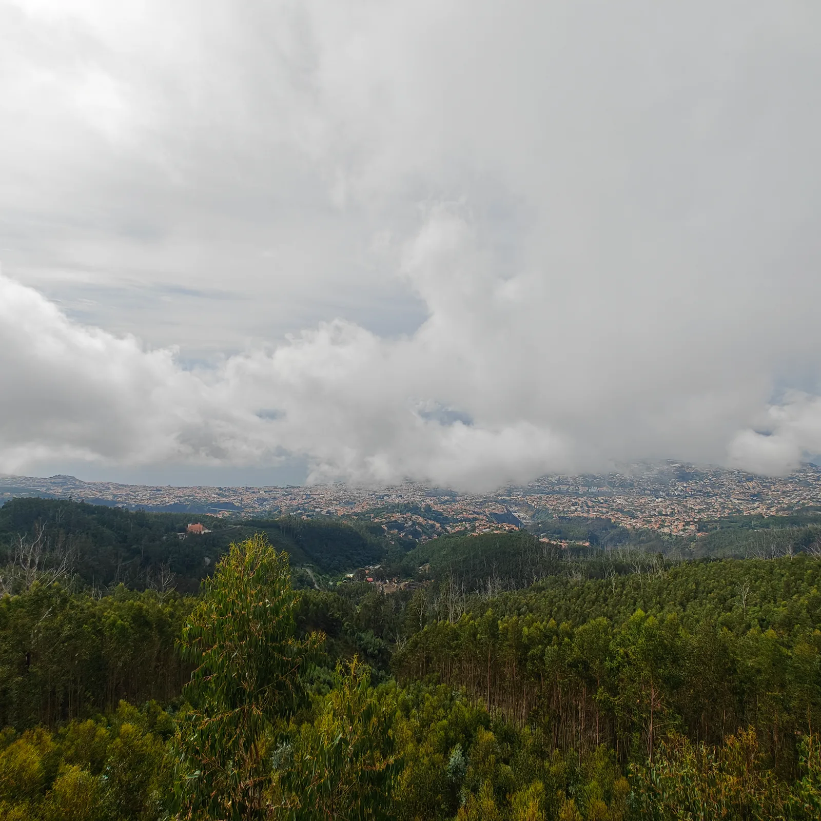 Atmosphere at Miradouro do Pico Alto Funchal — travel photo