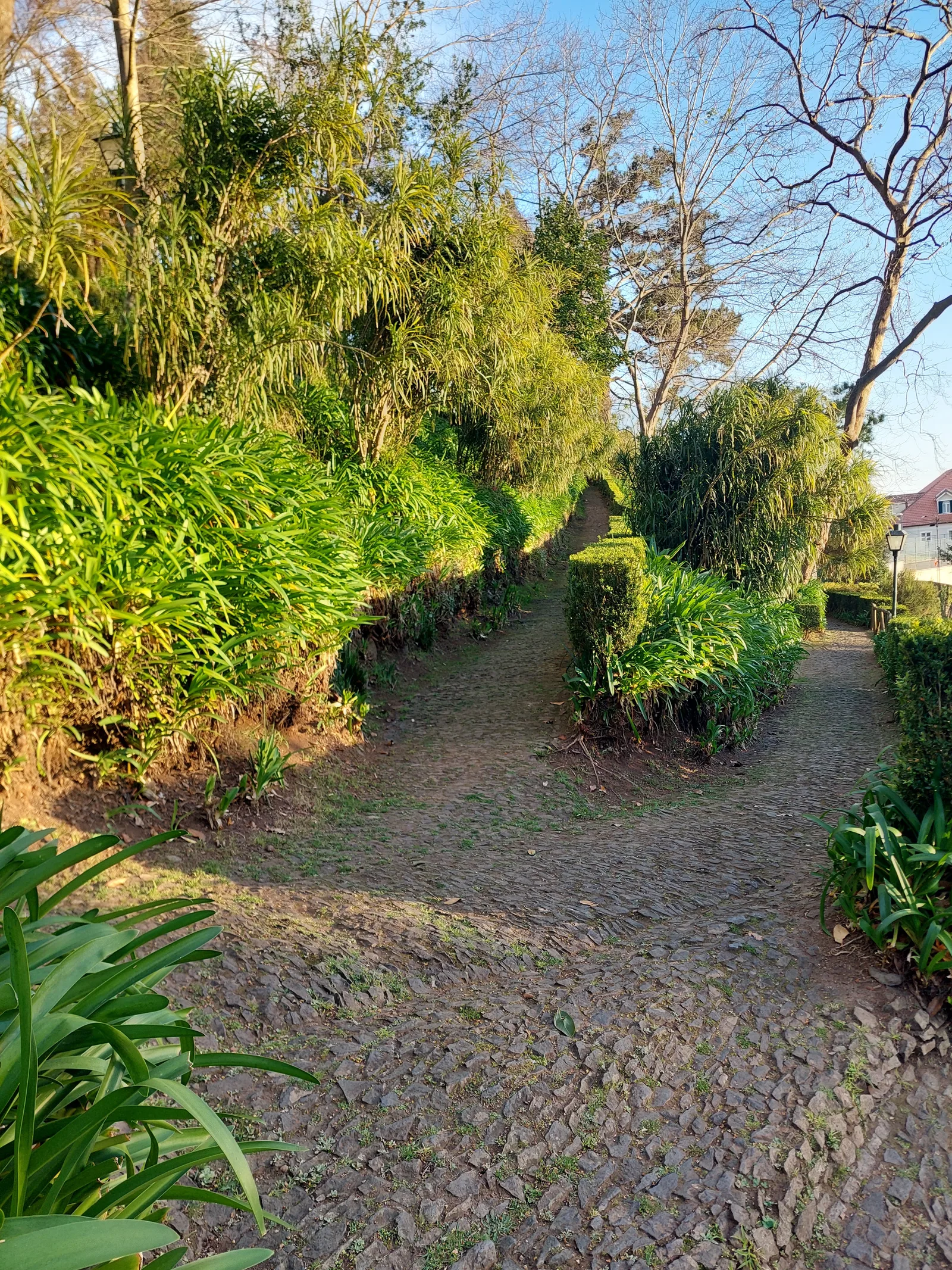 Details at Monte park Funchal — travel photo