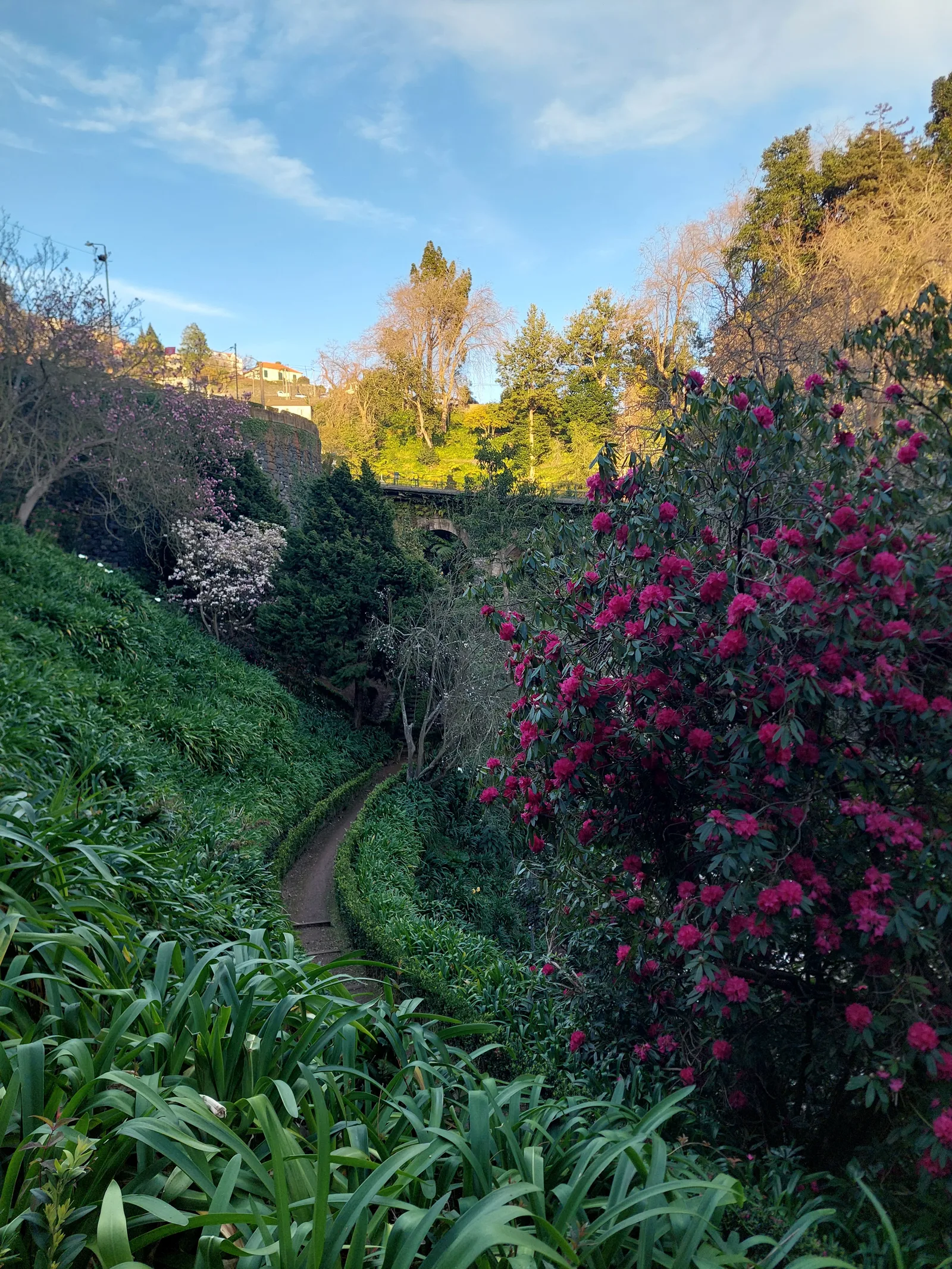 Atmosphere at Monte park Funchal — travel photo