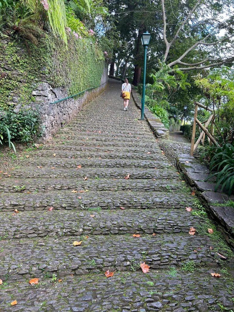 Monte park