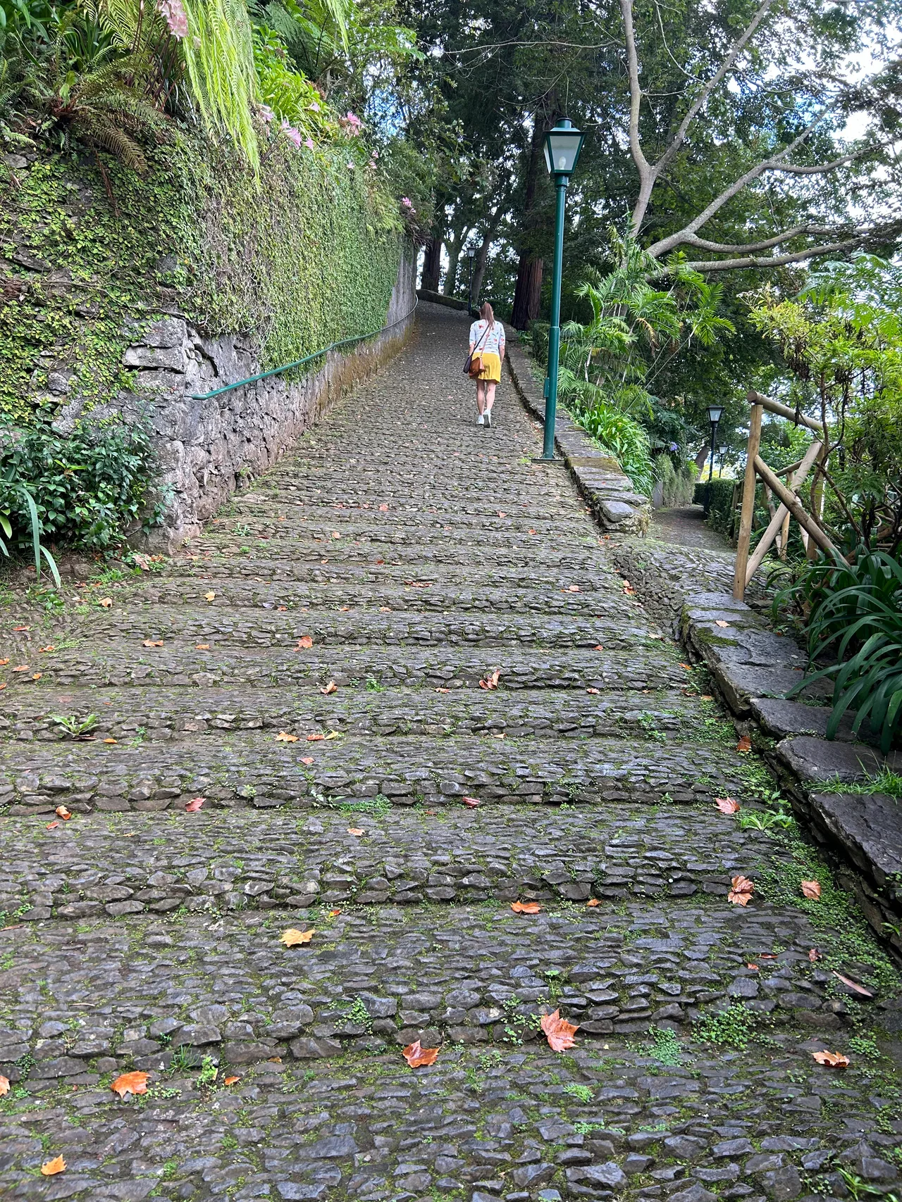 Monte park — family guide Funchal