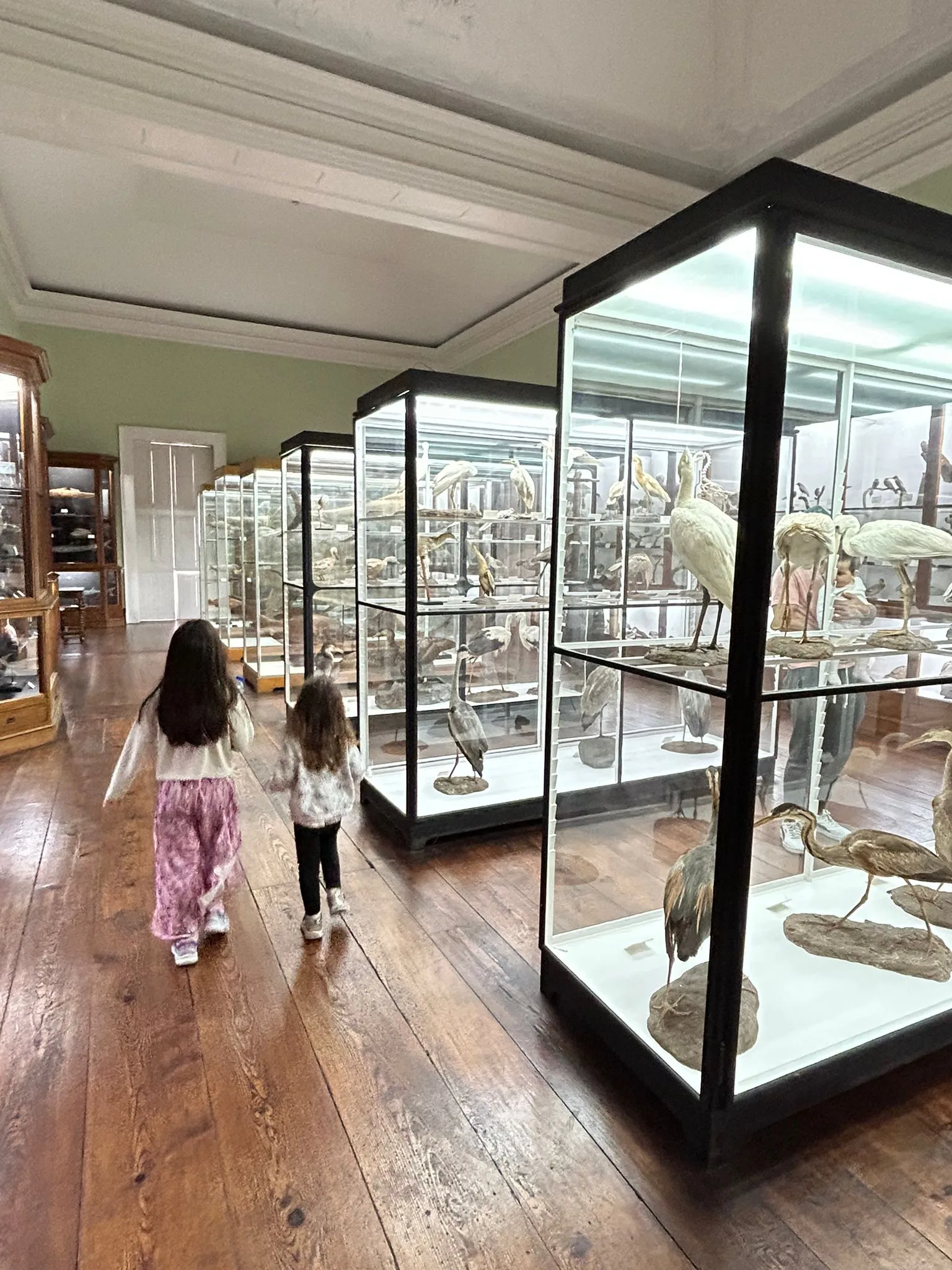 Atmosphere at Natural History Museum Funchal — travel photo