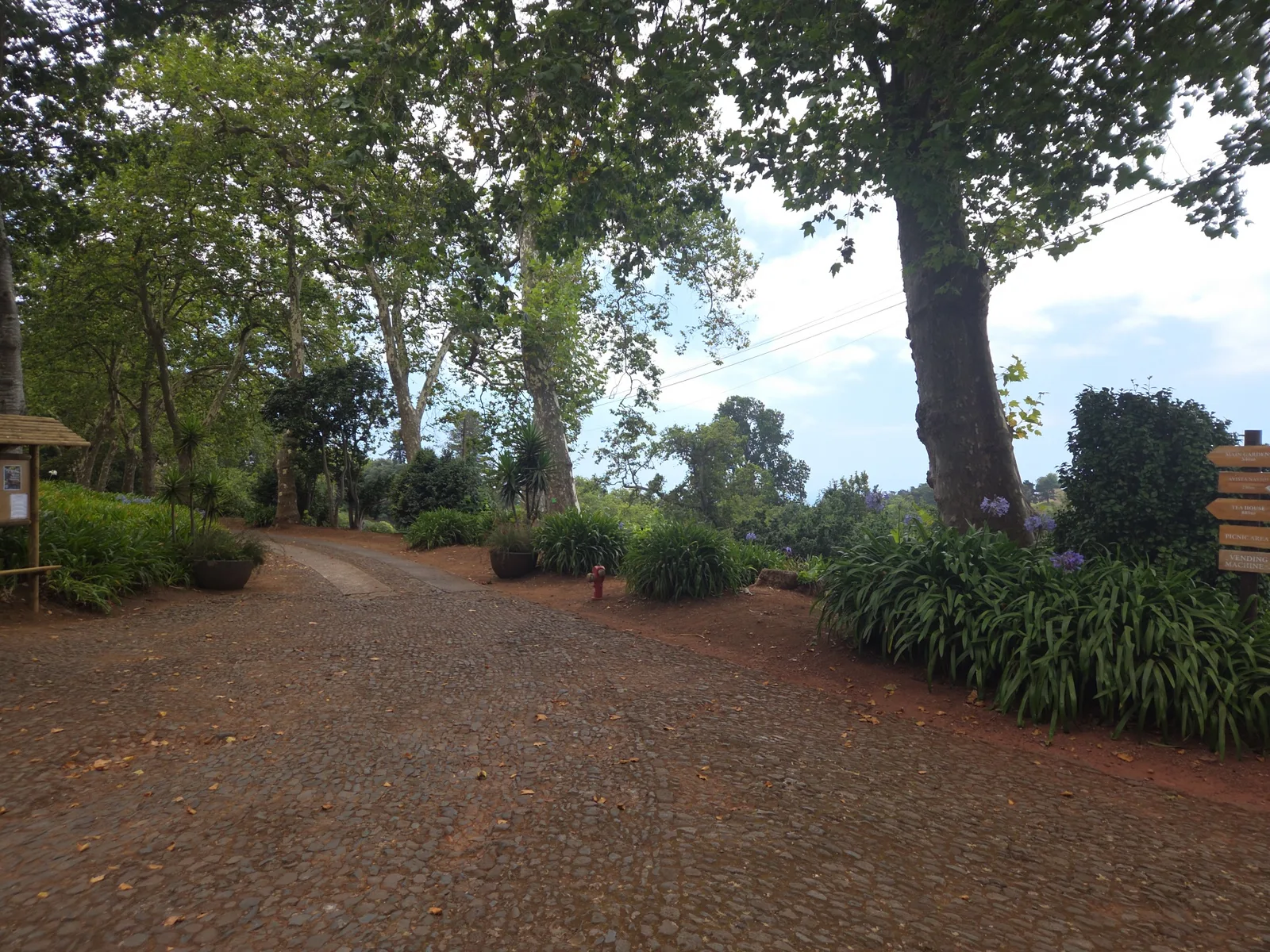 Main view at Palheiro Gardens Funchal — travel photo