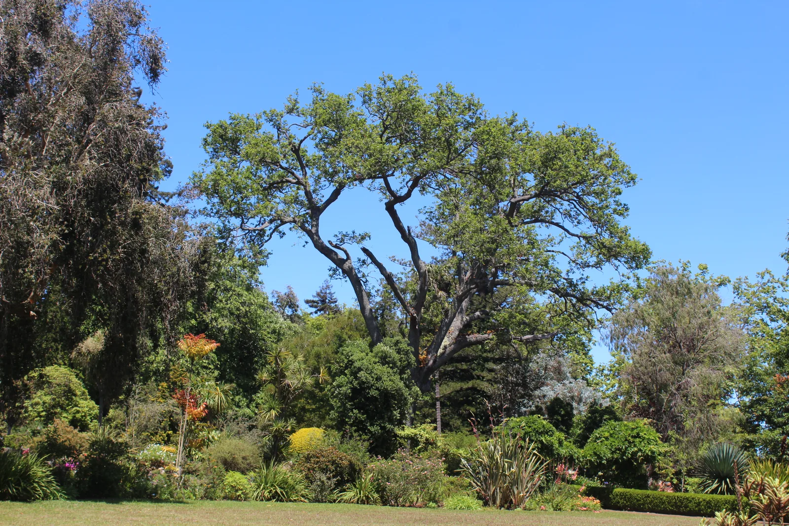 Interior at Palheiro Gardens Funchal — travel photo