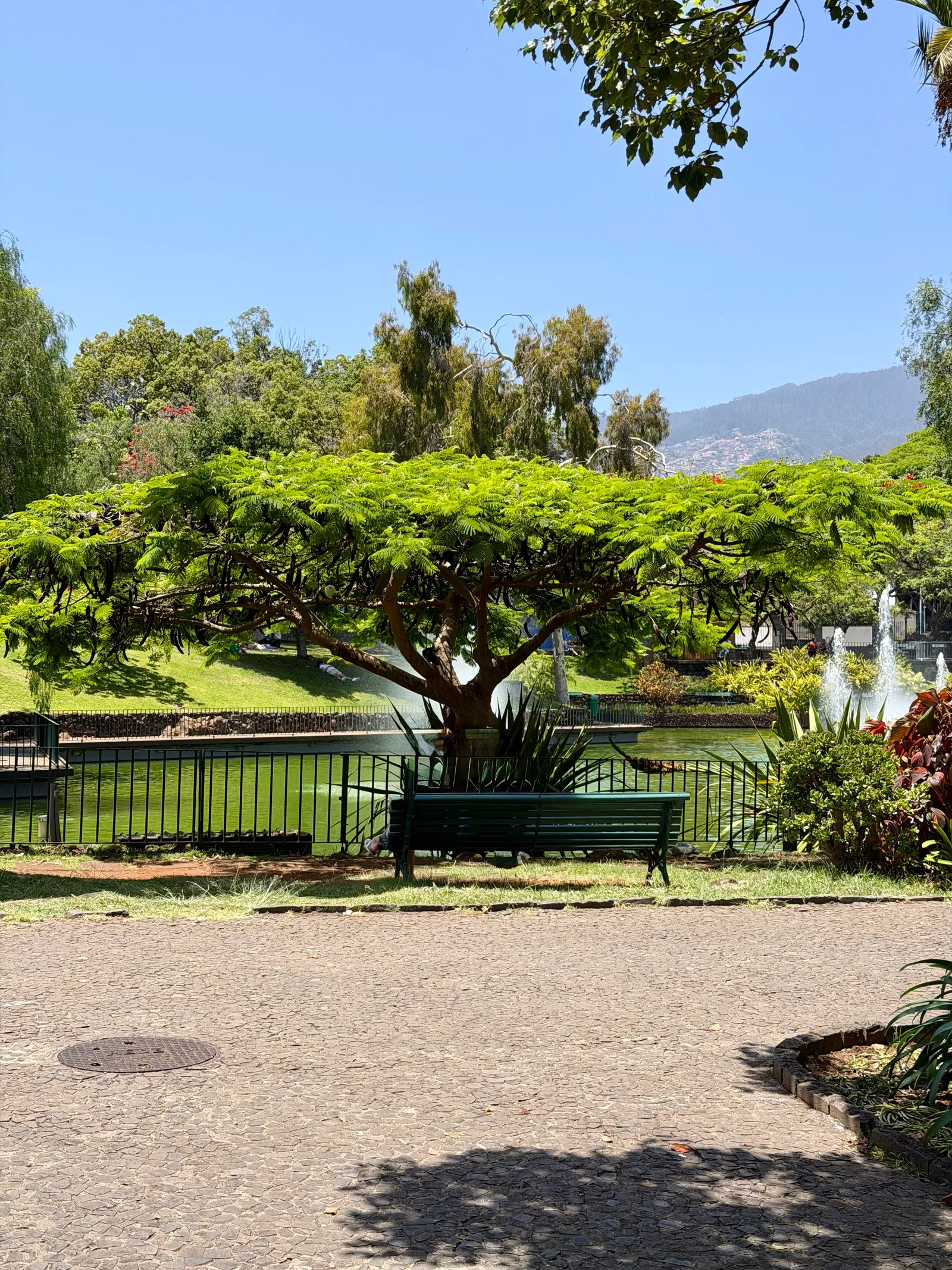 Interior at Parque de Santa Catarina Funchal — travel photo