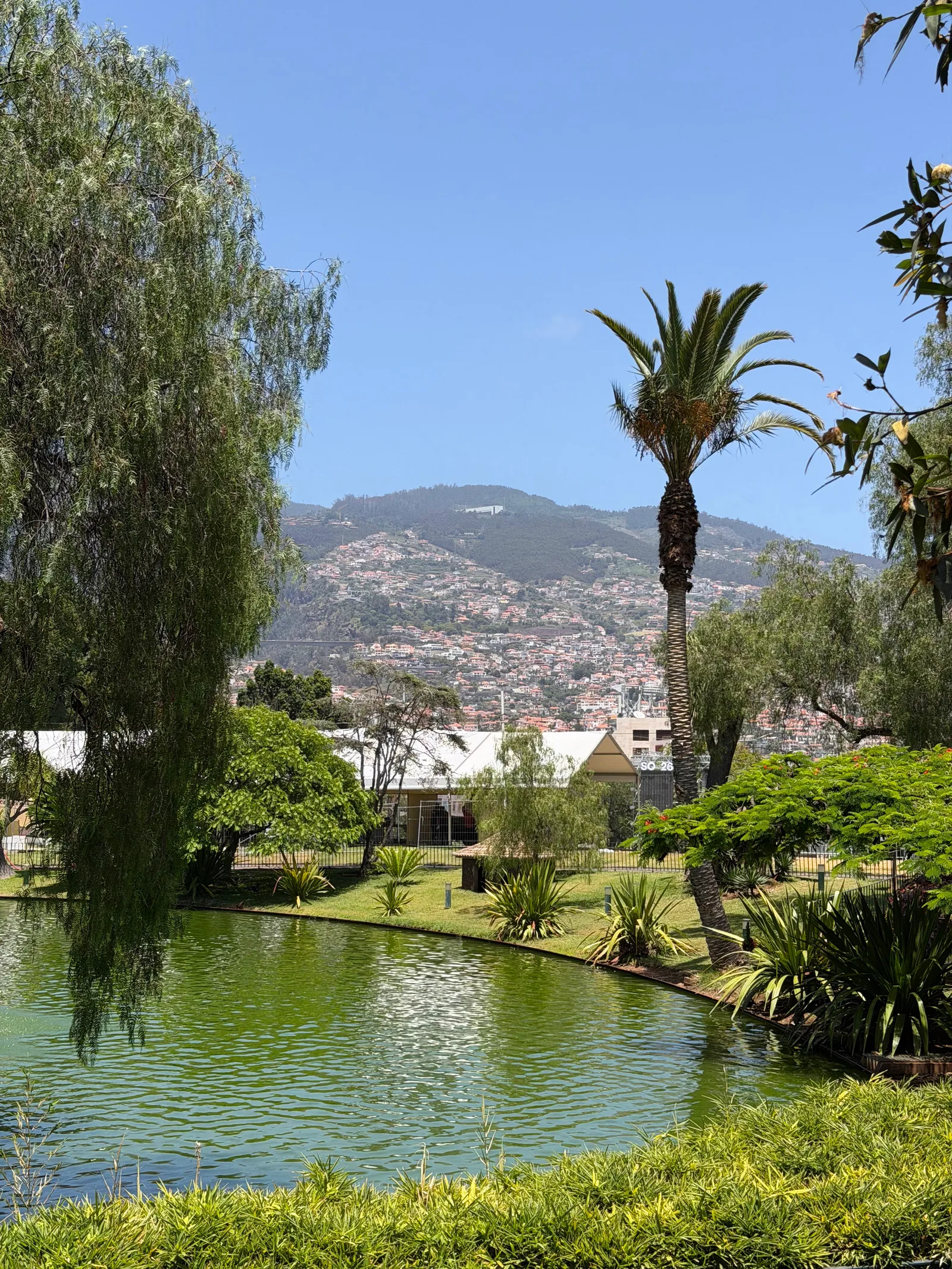 Details at Parque de Santa Catarina Funchal — travel photo