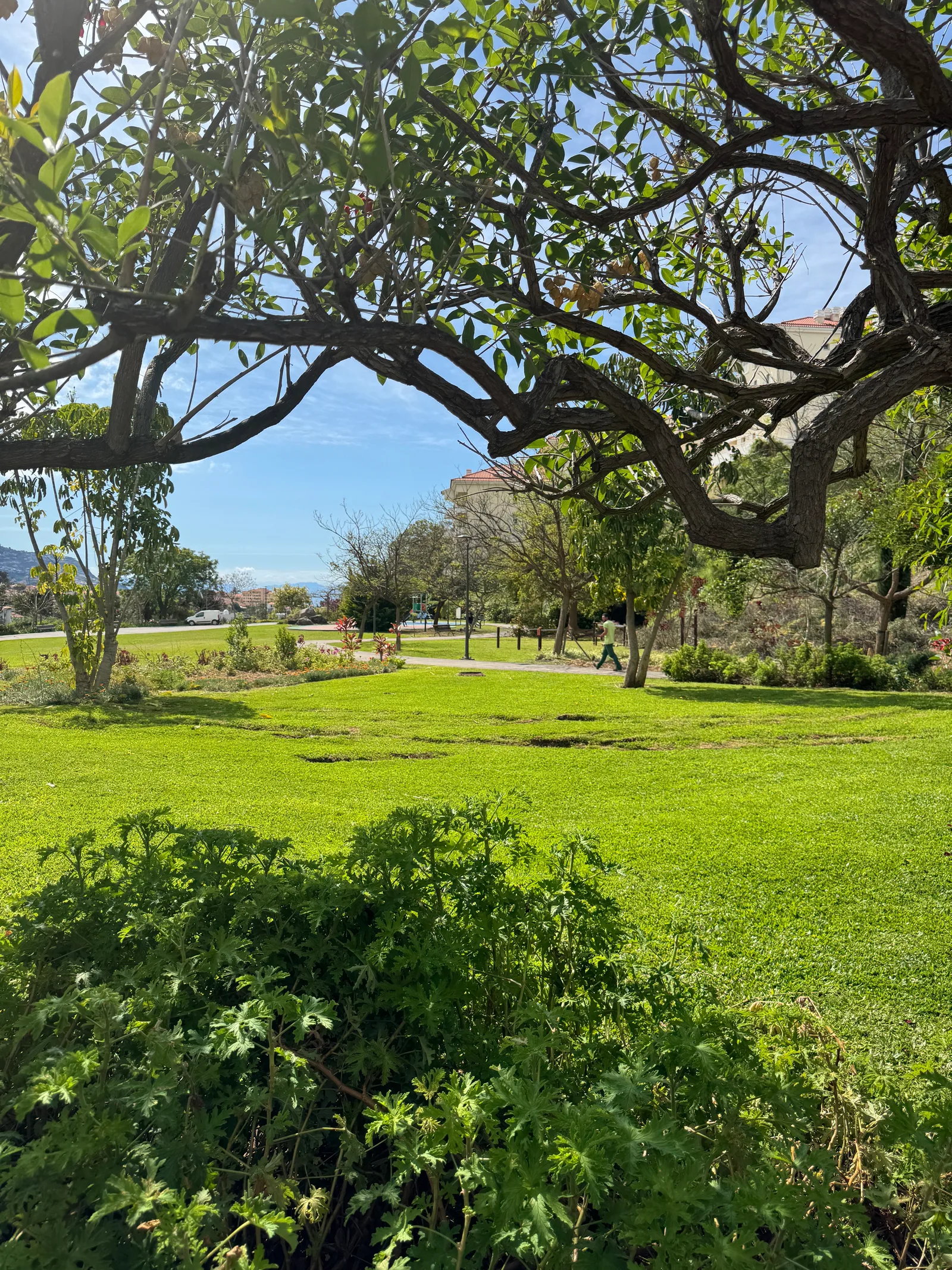 Interior at Parque Infantil do Jardim das Madalenas Funchal — travel photo