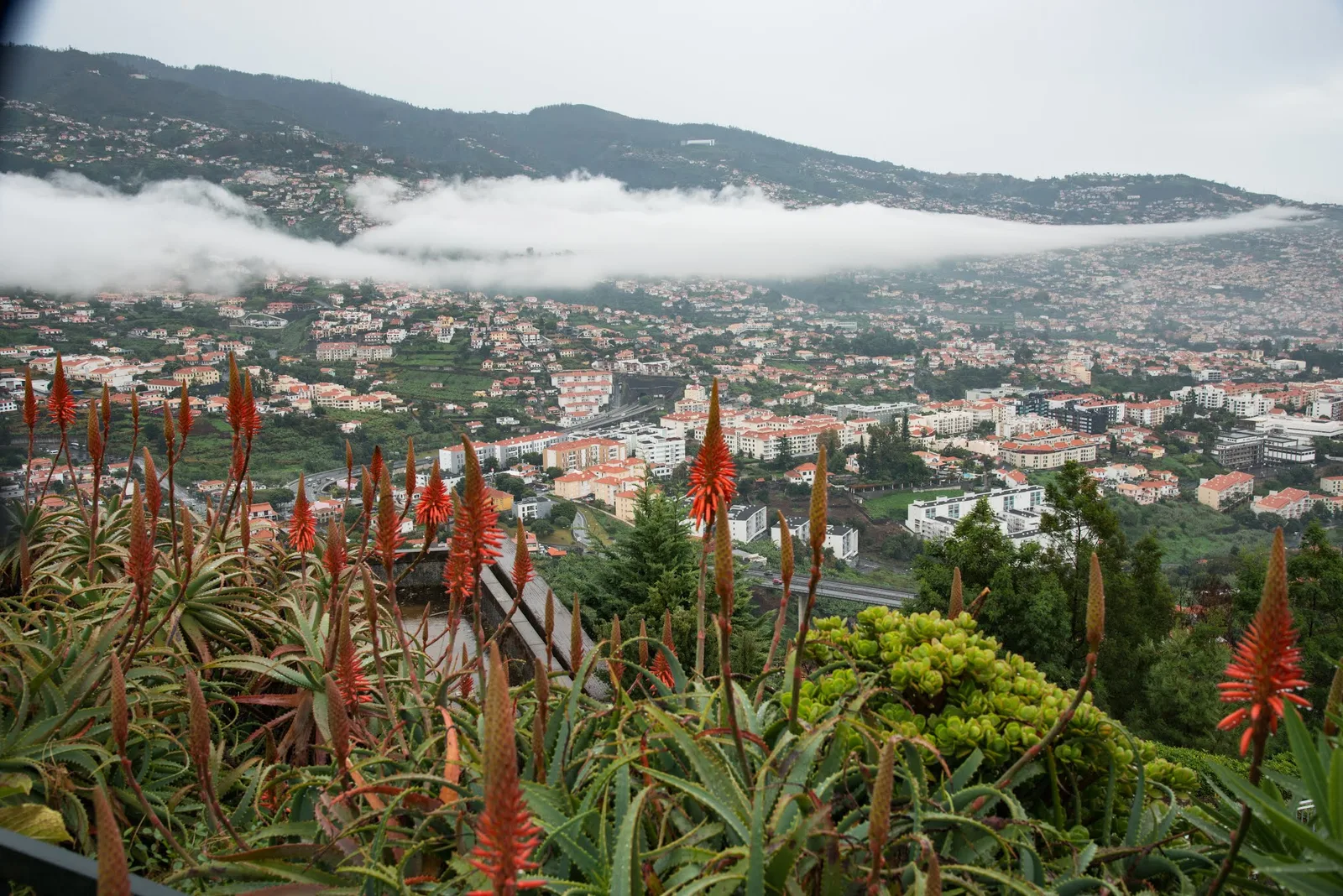 Details at Parque Infantil do Pico dos Barcelos Funchal — travel photo