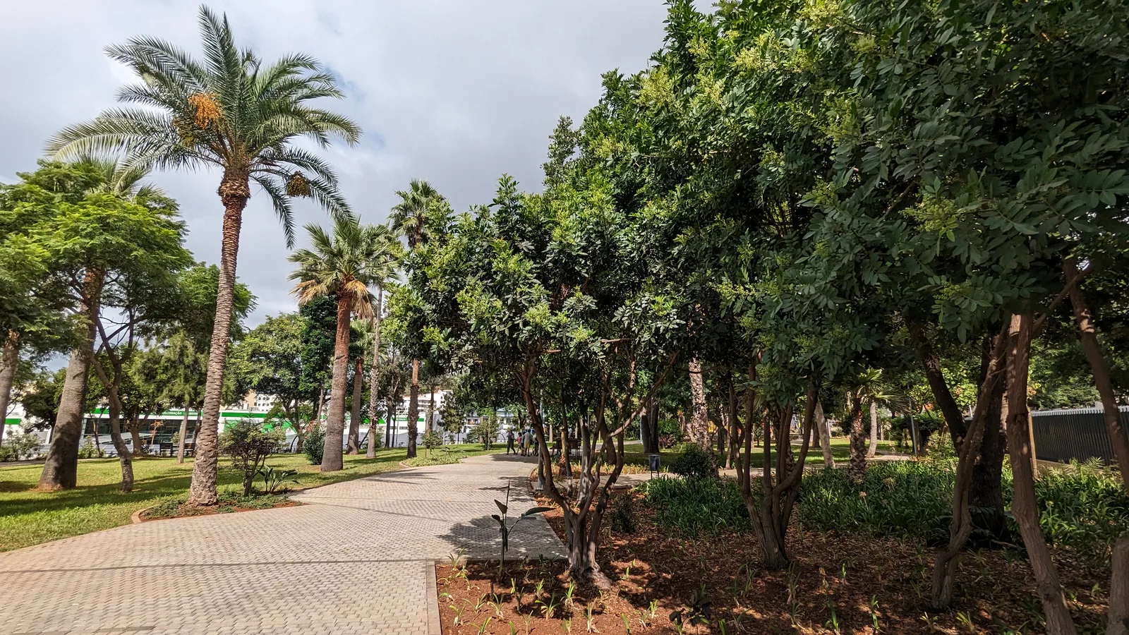 Details at Parque Urbano da Nazaré Funchal — travel photo