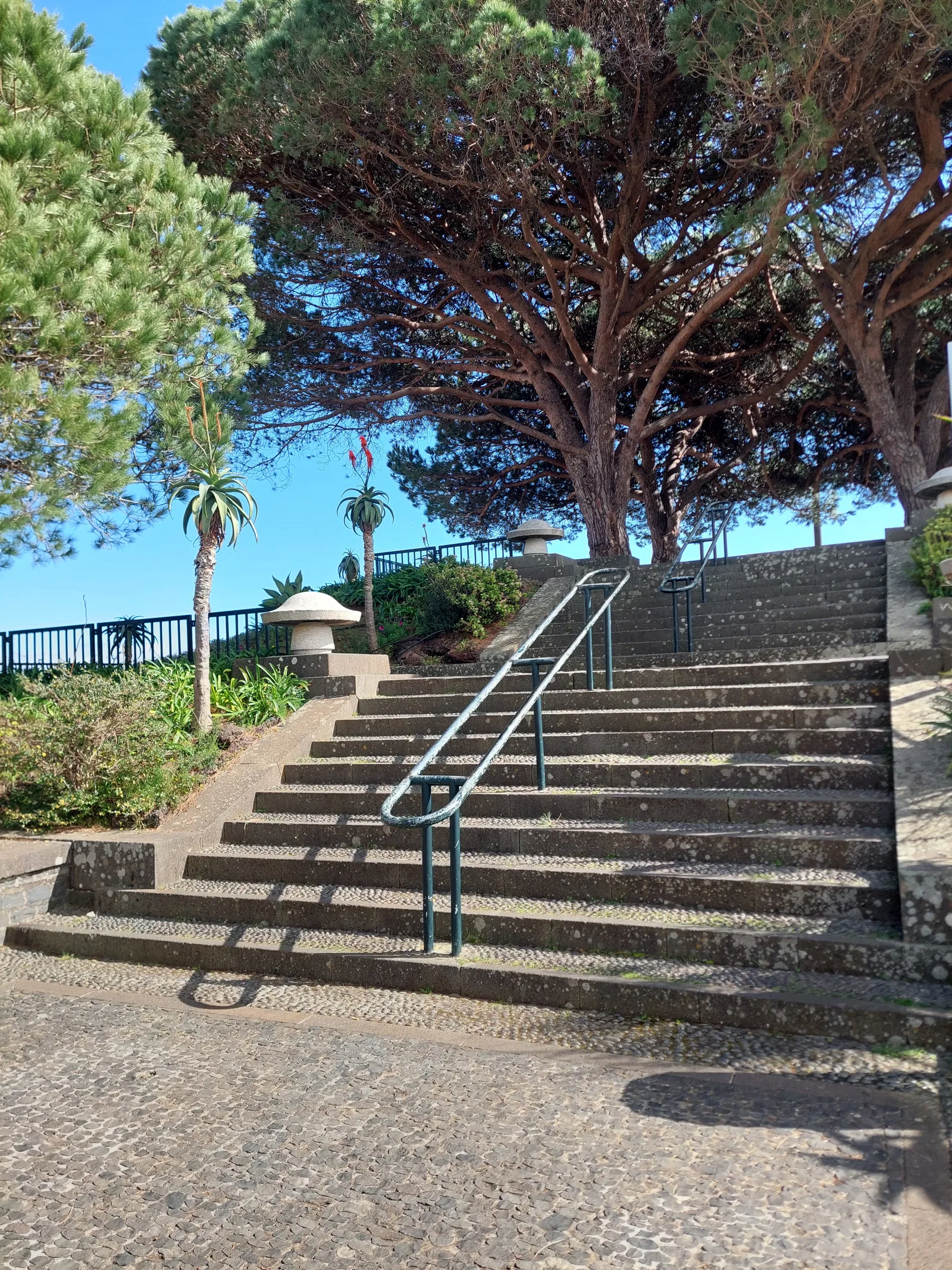 Details at Pico dos Barcelos viewpoint Funchal — travel photo