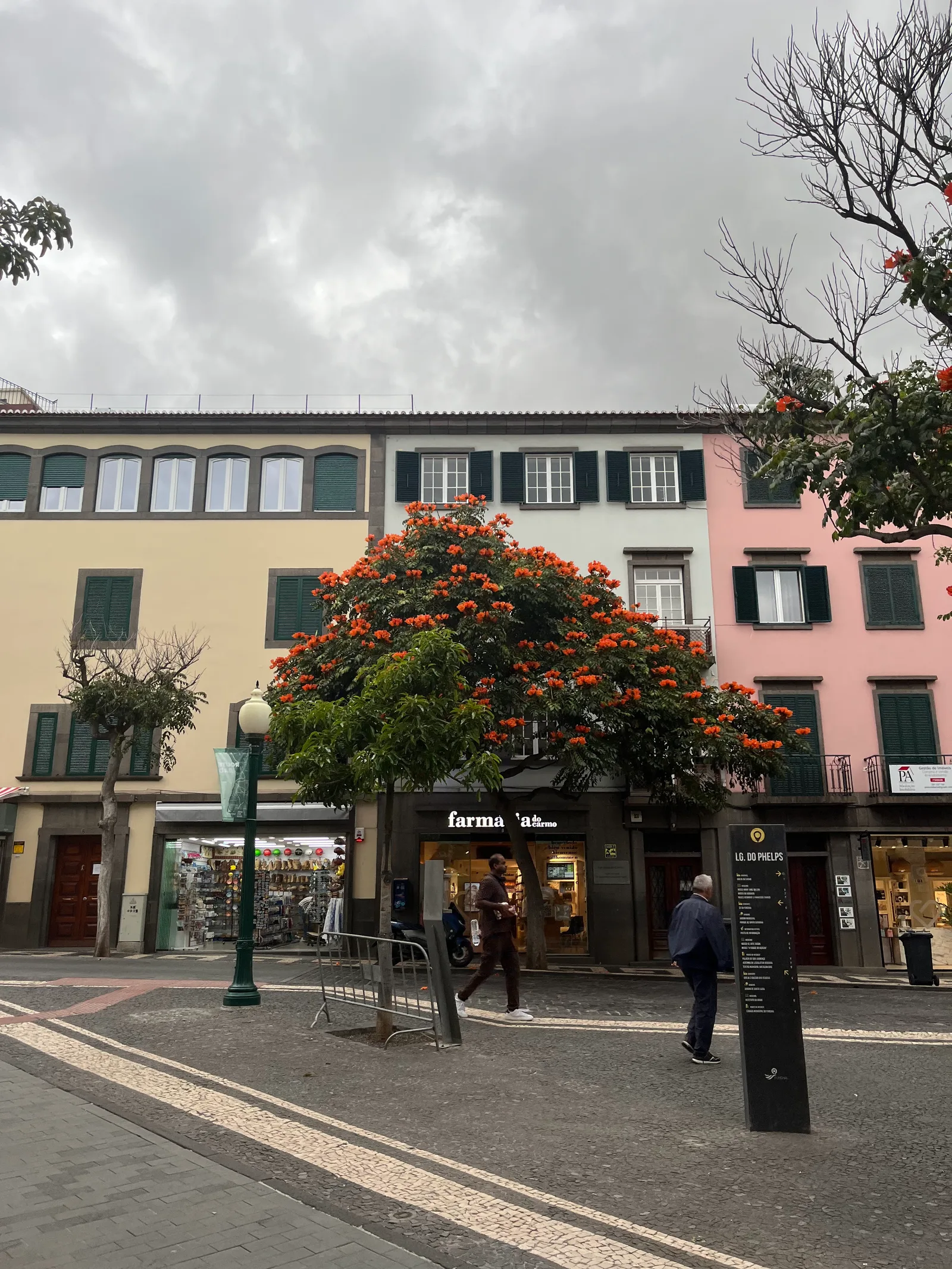 Interior at Praça do Município Funchal — travel photo