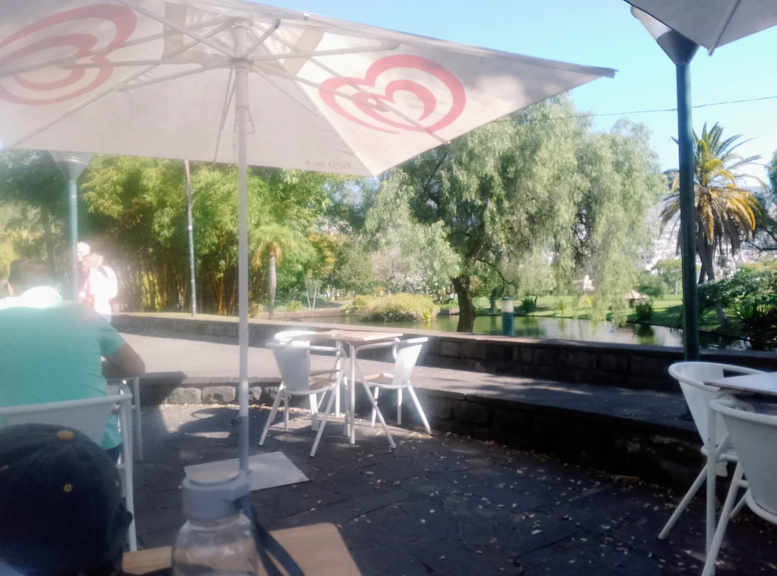 Atmosphere at Praça do Povo Funchal — travel photo