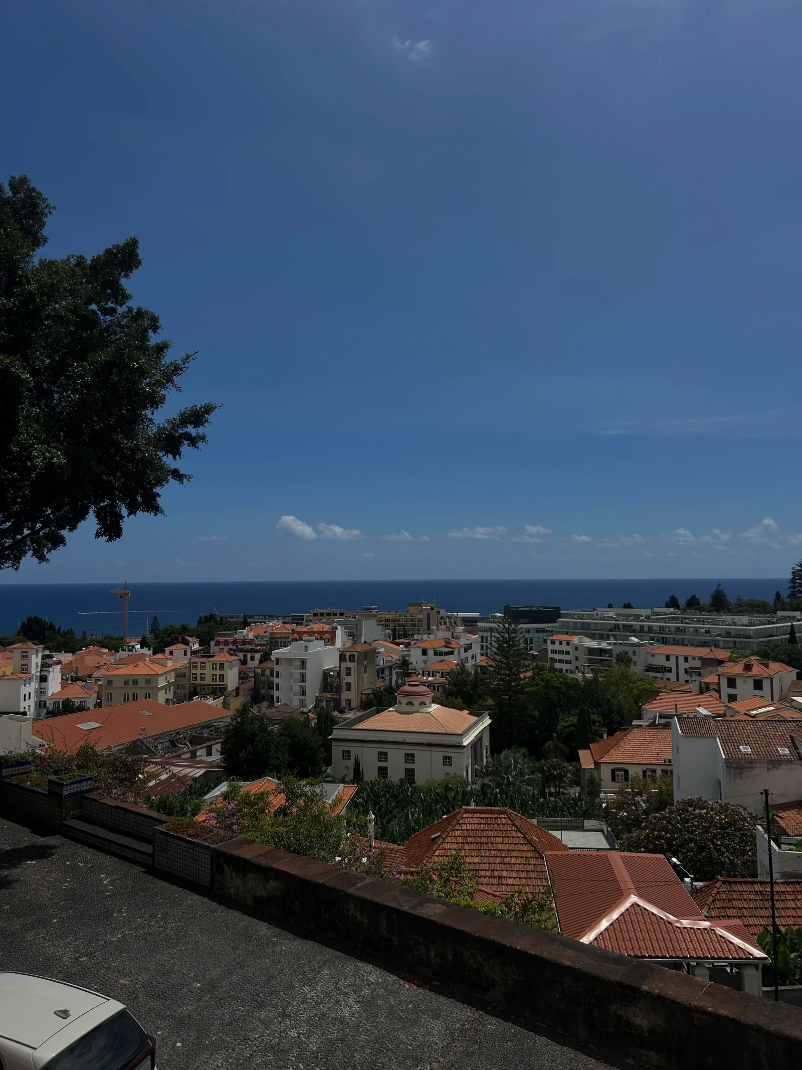 Main view at Quinta das Cruzes Museum Funchal — travel photo