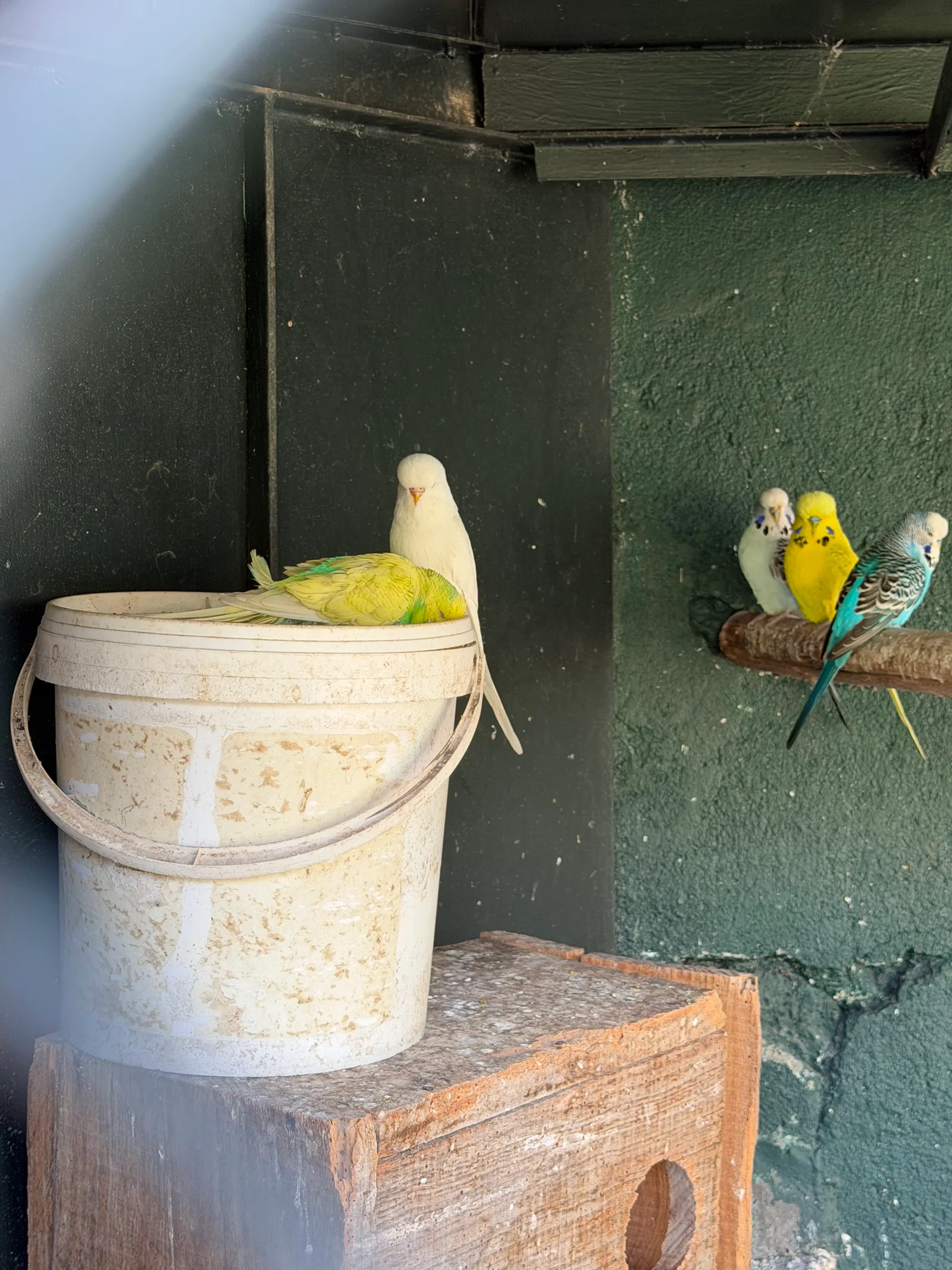 Details at Quinta Magnólia Tennis & Padel Funchal — travel photo