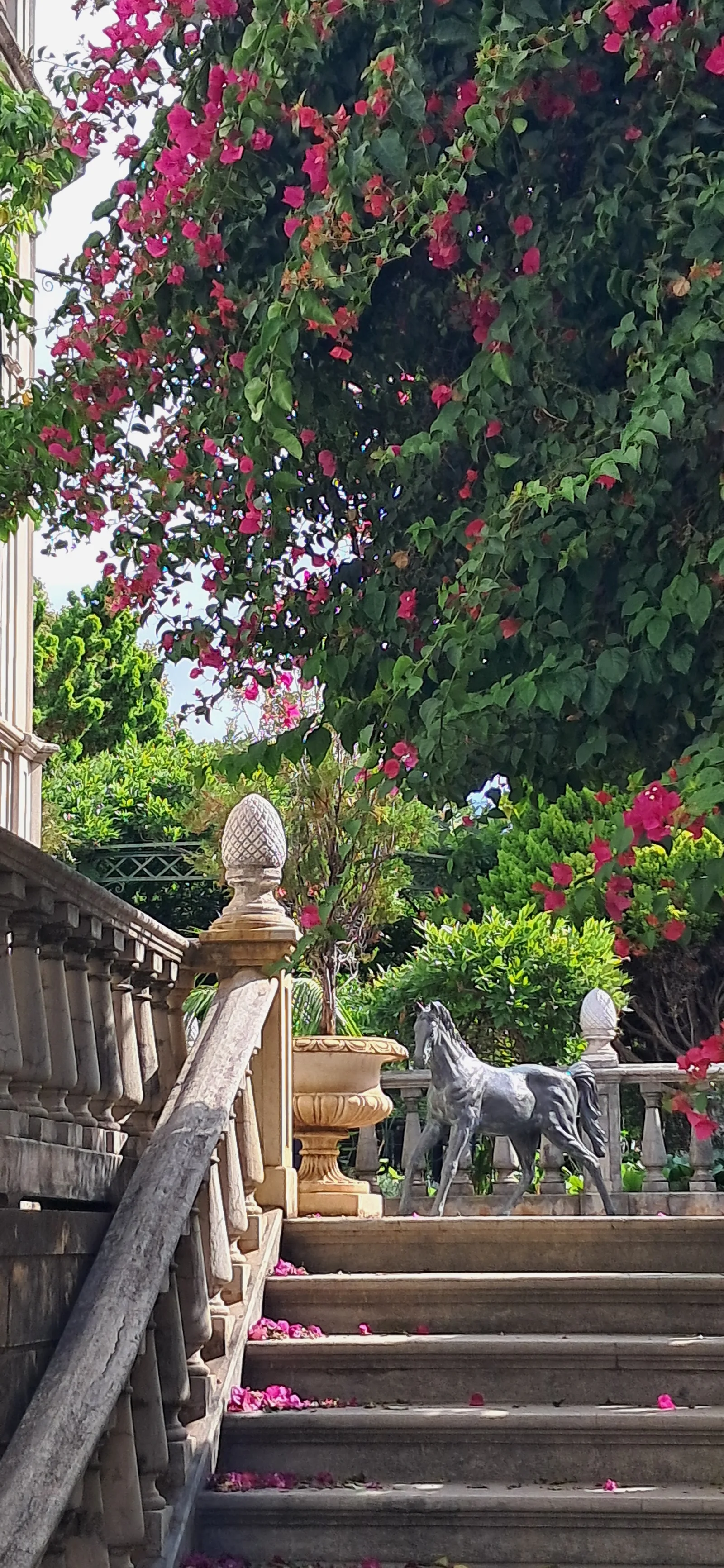 Main view at Universo de Memórias João Carlos Abreu Funchal — travel photo
