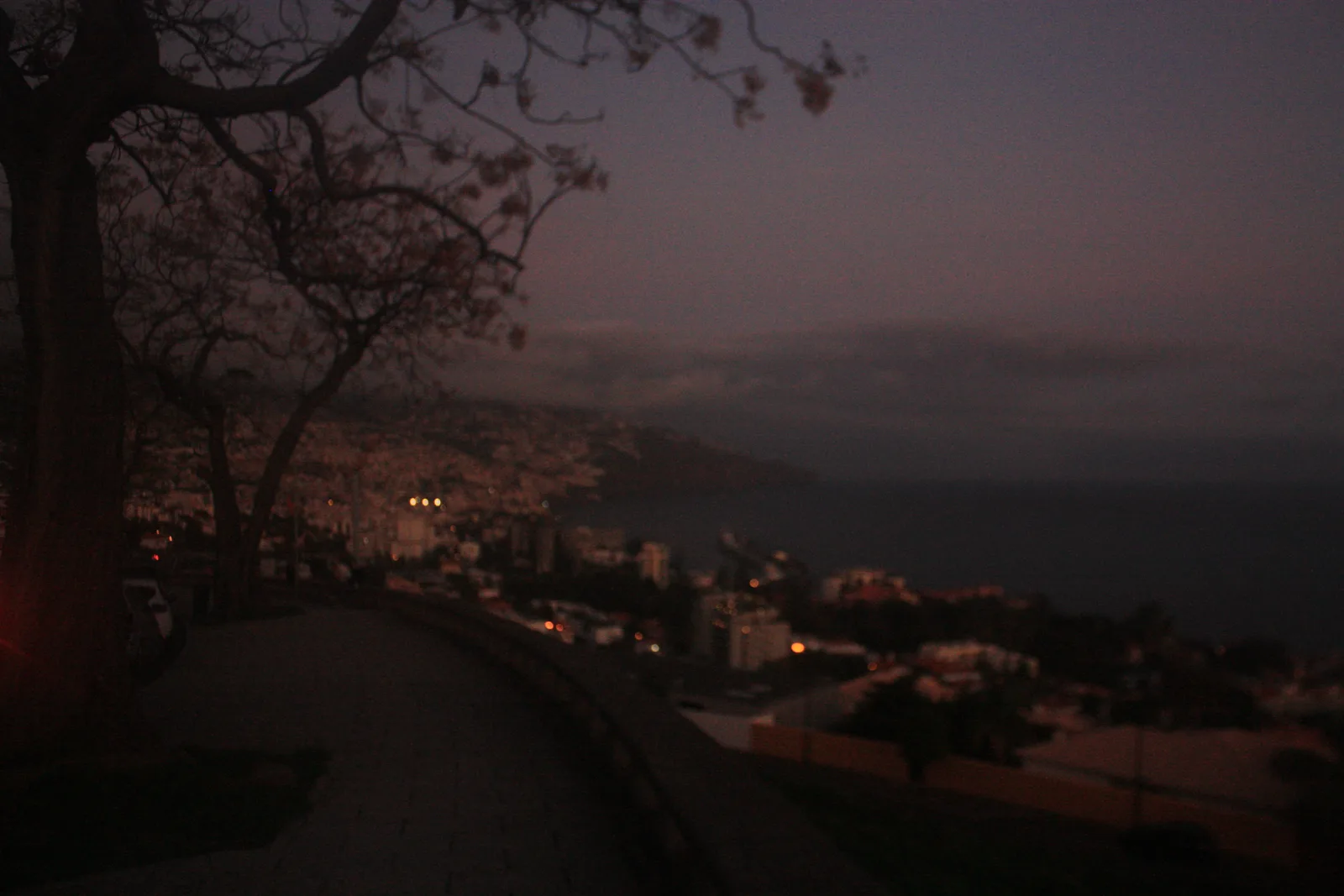 Details at Viewpoint of Nazareth Funchal — travel photo