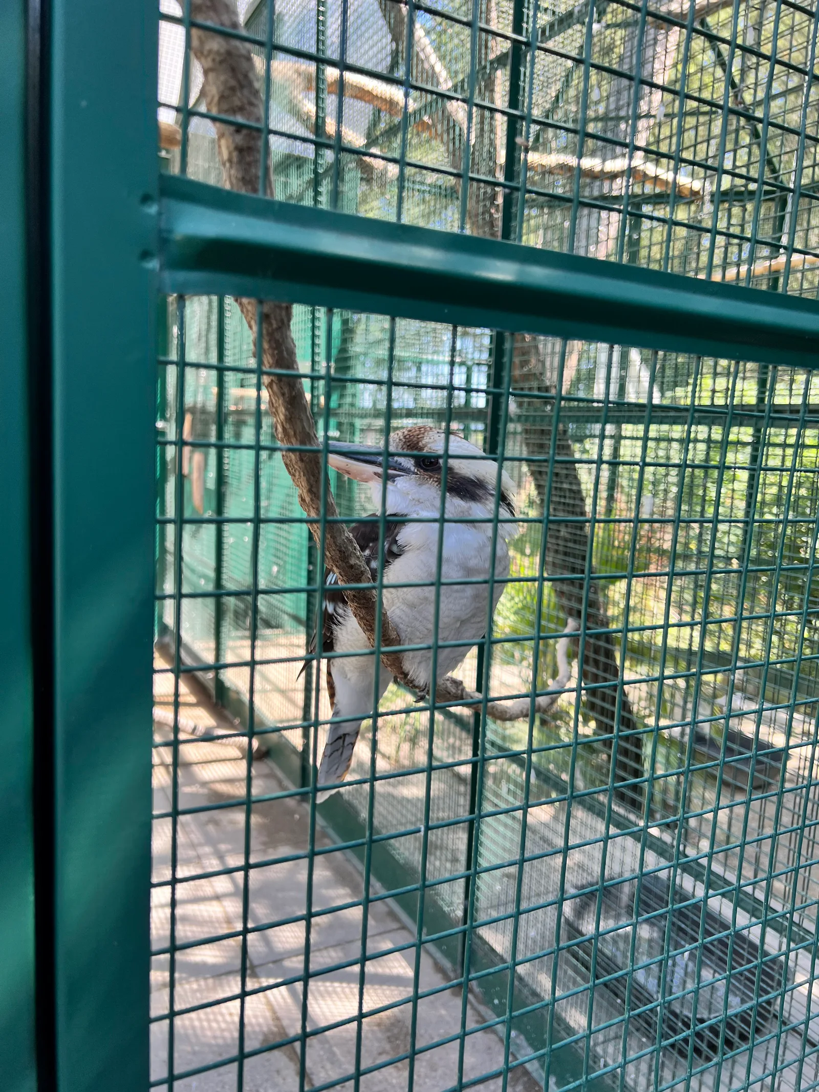 Main view at Bioparc Genève Geneva — travel photo