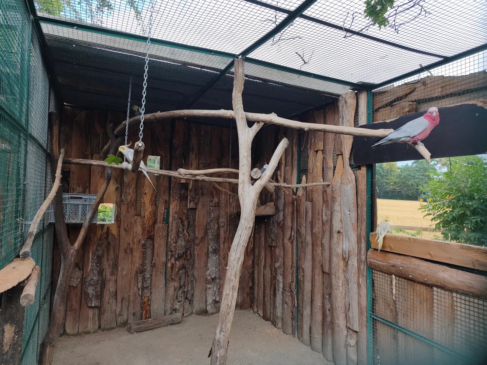 Atmosphere at Bioparc Genève Geneva — travel photo