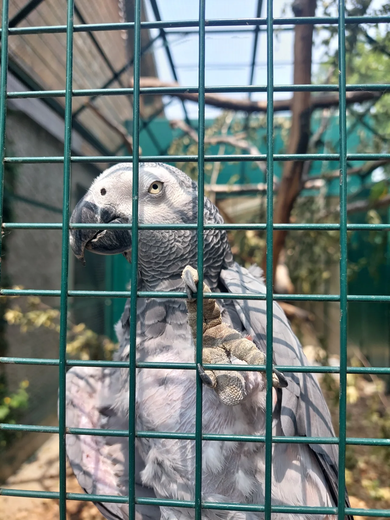 Bioparc Genève — family guide Geneva