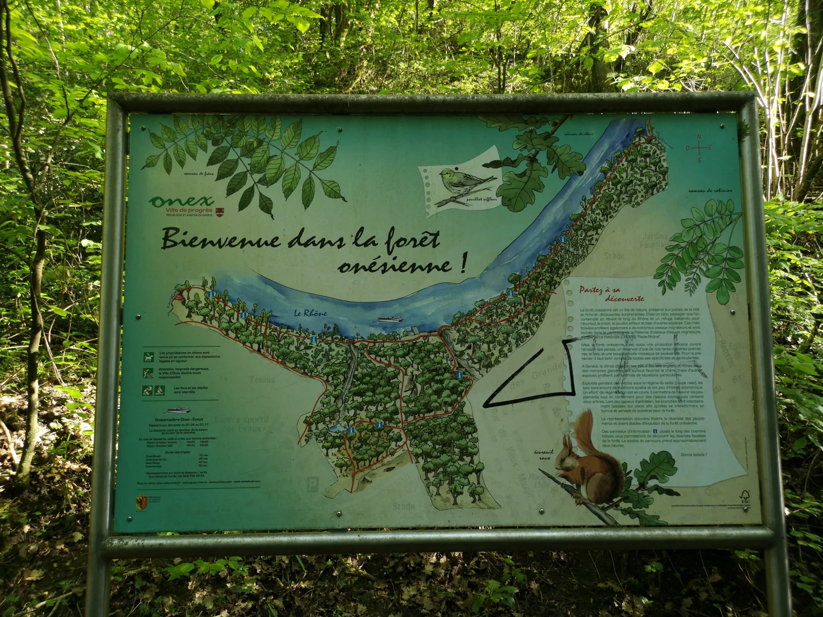 Interior at Bois de la Bâtie Geneva — travel photo