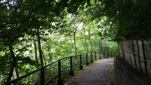 Bois de la Bâtie