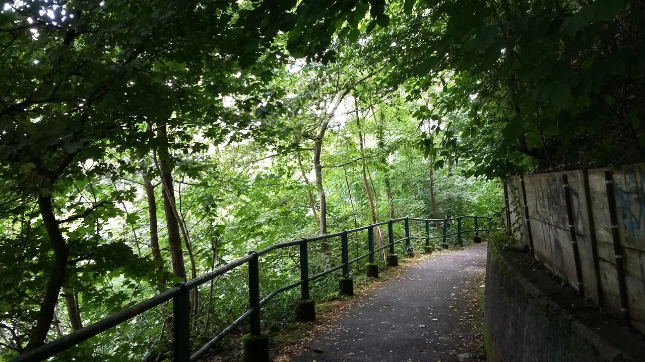 Bois de la Bâtie