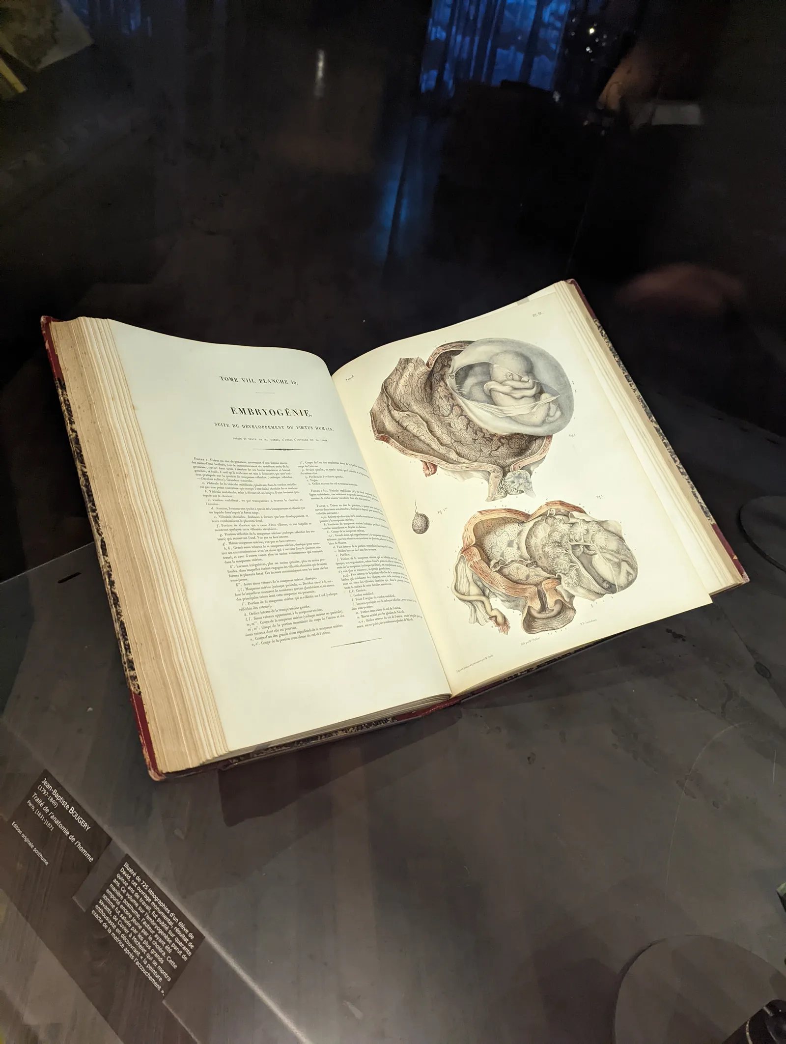 Details at Fondation Martin Bodmer Geneva — travel photo