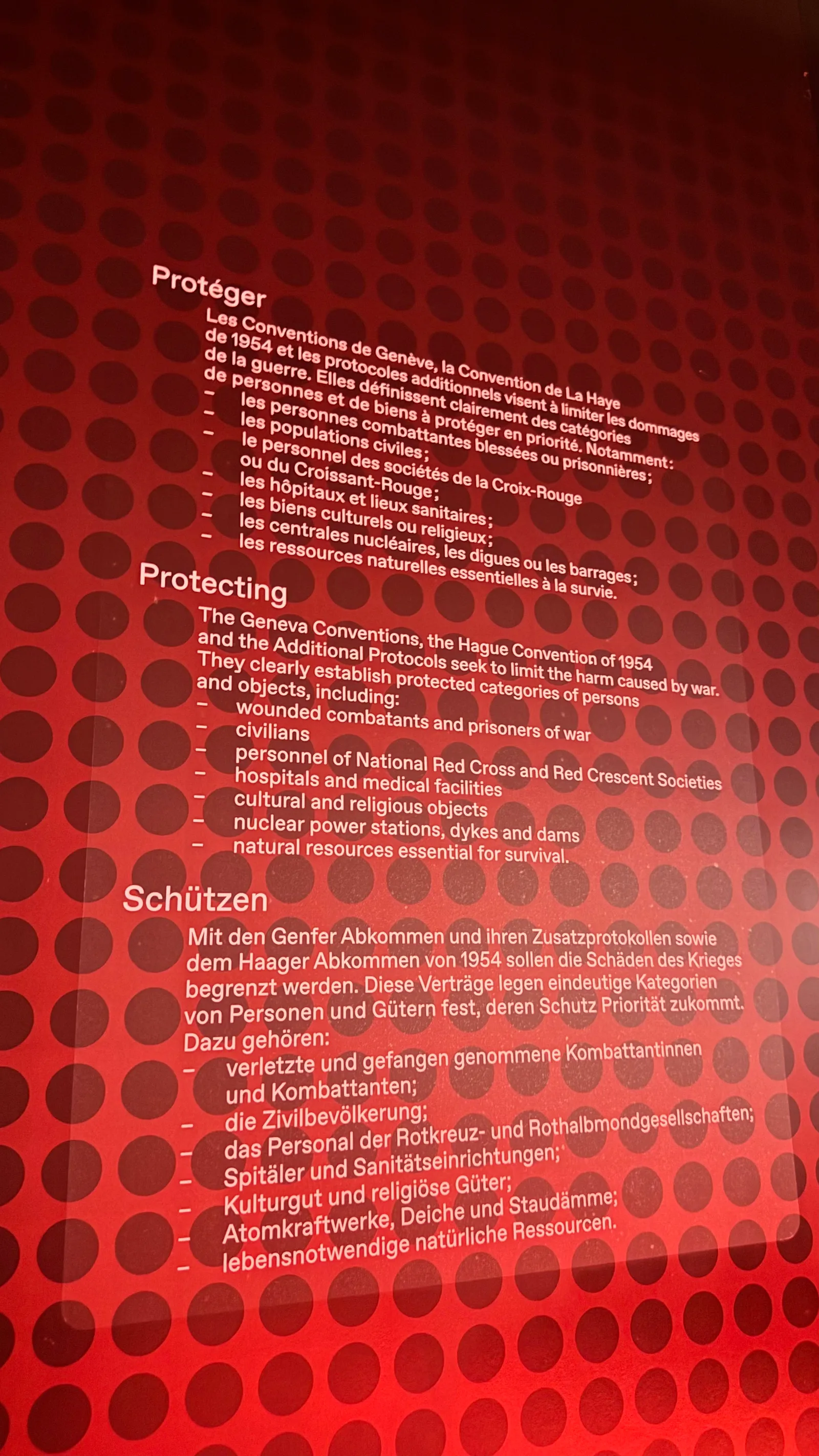 Details at International Museum of the Red Cross and Red Crescent Geneva — travel photo