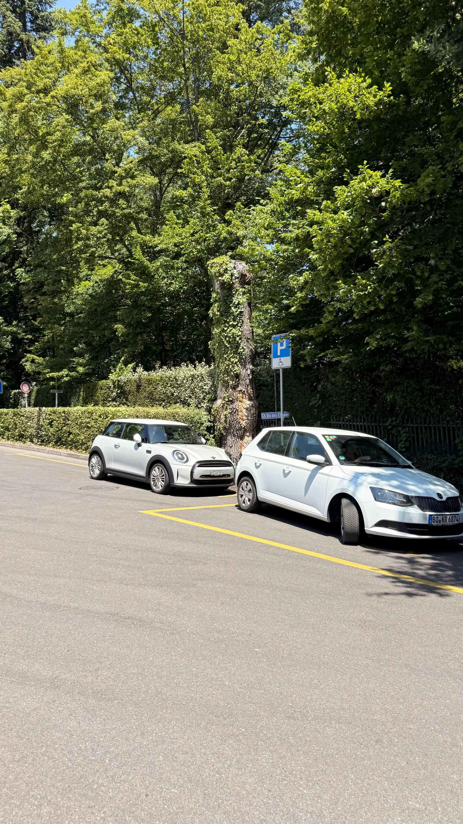 Atmosphere at International Museum of the Red Cross and Red Crescent Geneva — travel photo