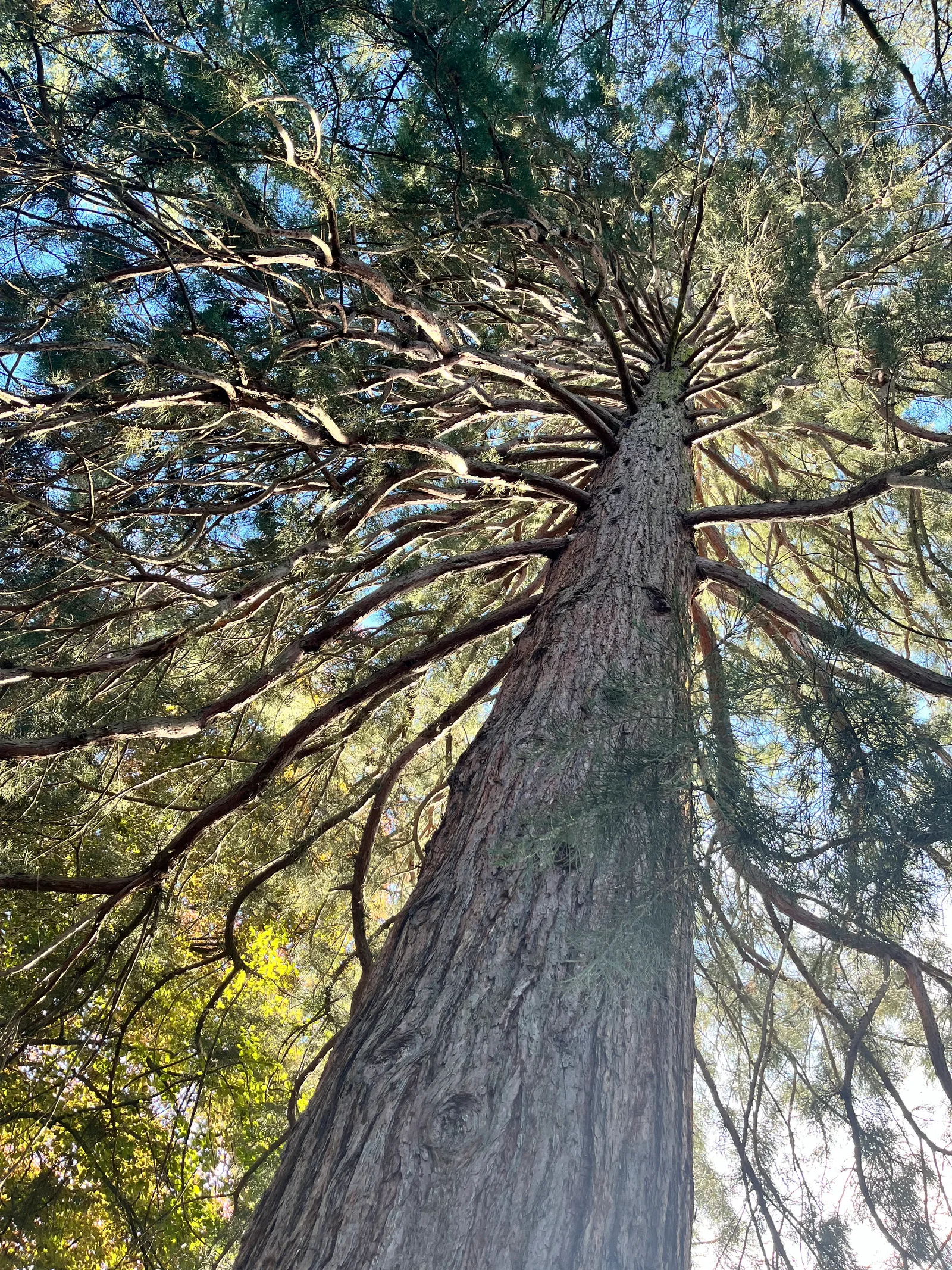 Interior at Jardin botanique alpin de Meyrin Geneva — travel photo