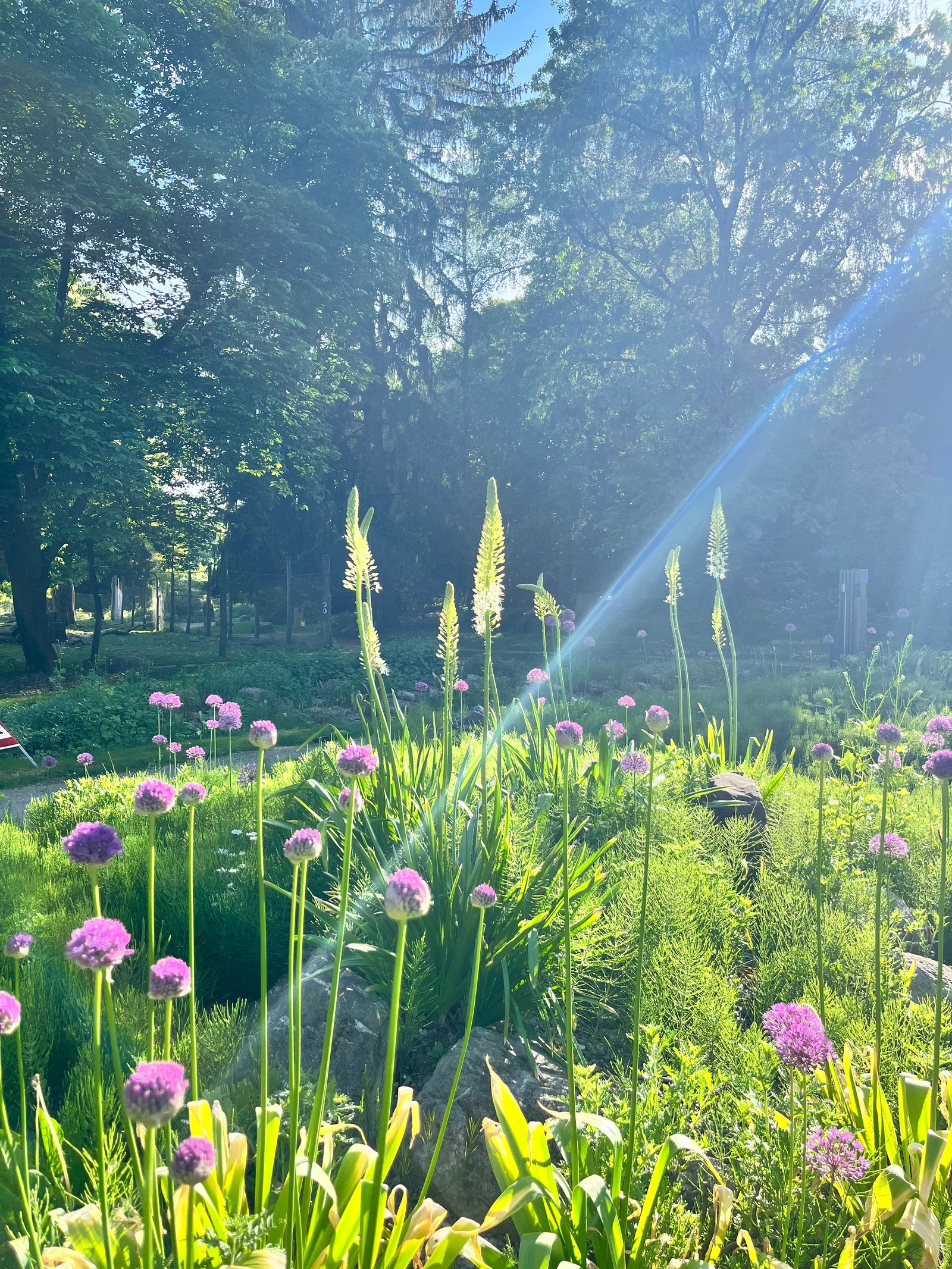 Details at Jardin botanique alpin de Meyrin Geneva — travel photo