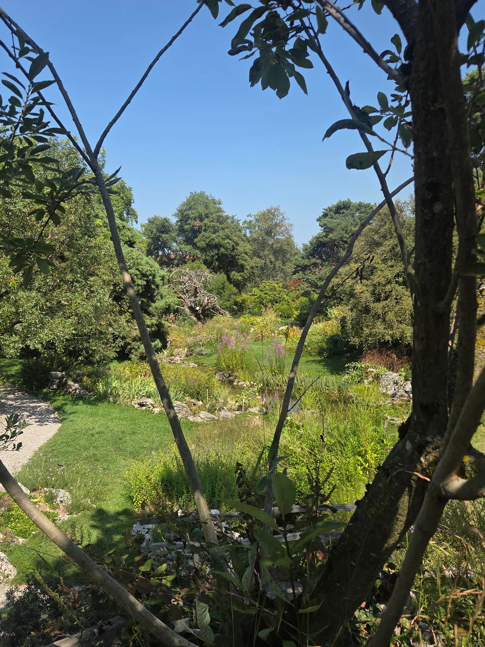 Atmosphere at Jardin Botanique de Genève Geneva — travel photo