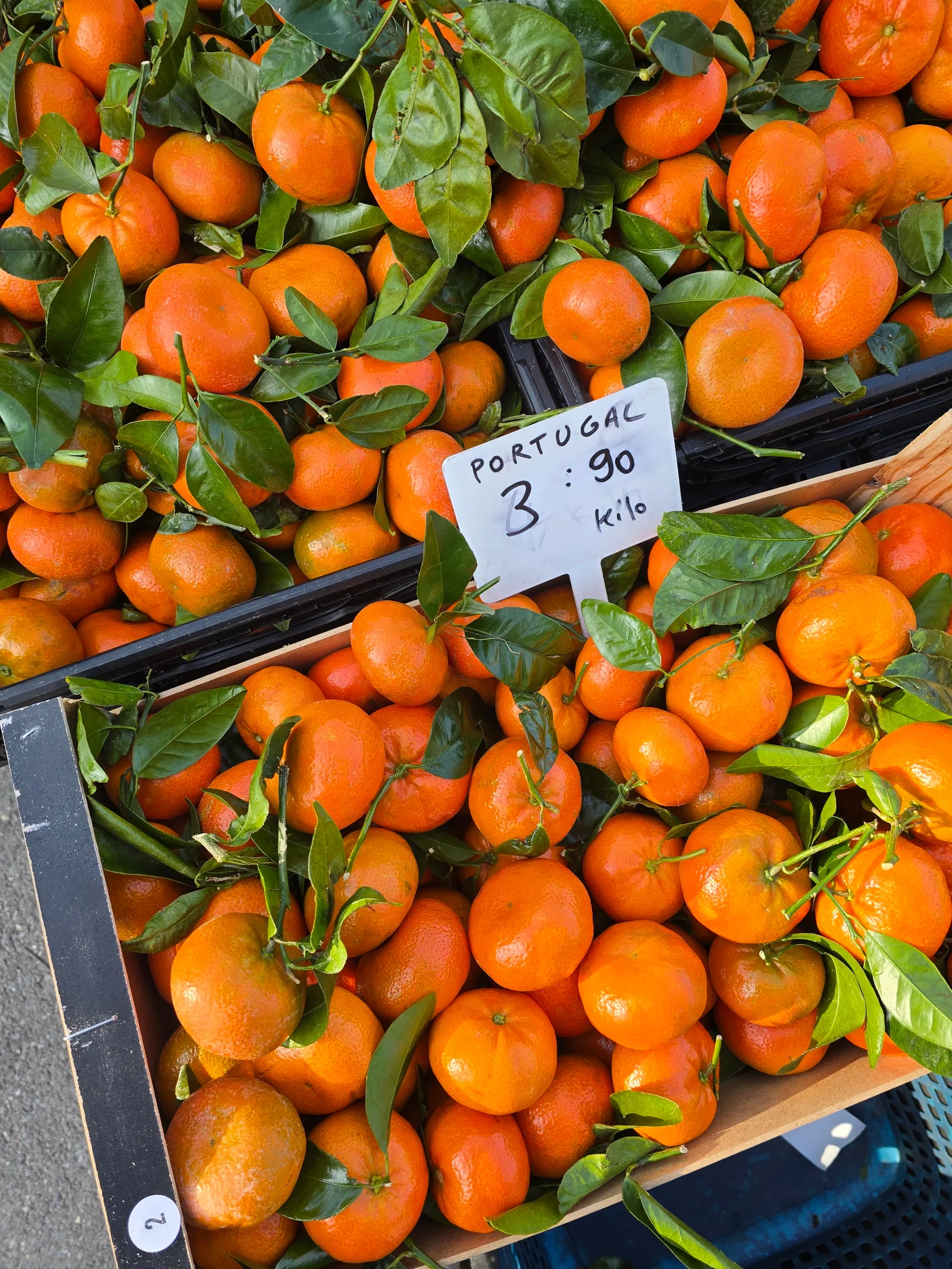 Atmosphere at Marché aux Puces de Plainpalais Geneva — travel photo