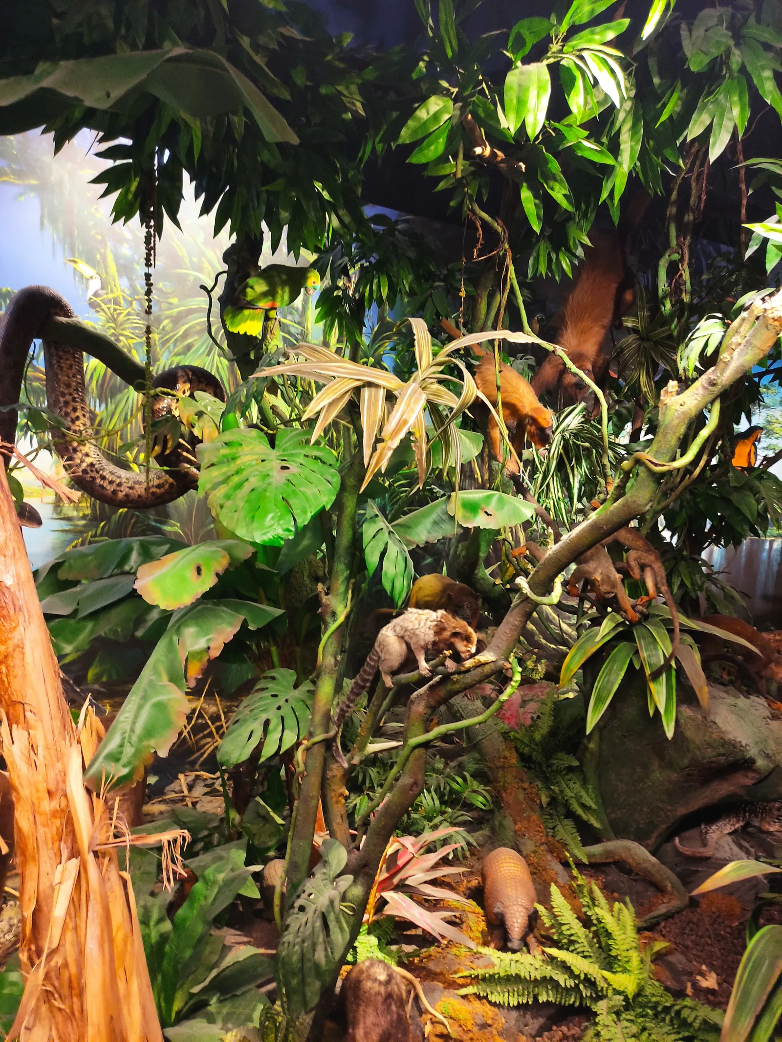 Interior at Muséum d'Histoire Naturelle Geneva — travel photo
