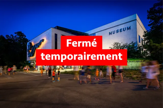Muséum d'Histoire Naturelle in Geneva