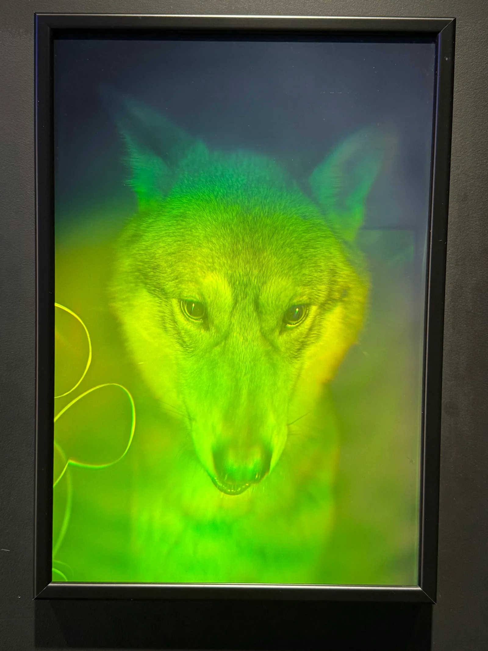 Details at Museum of Illusions Genève Geneva — travel photo