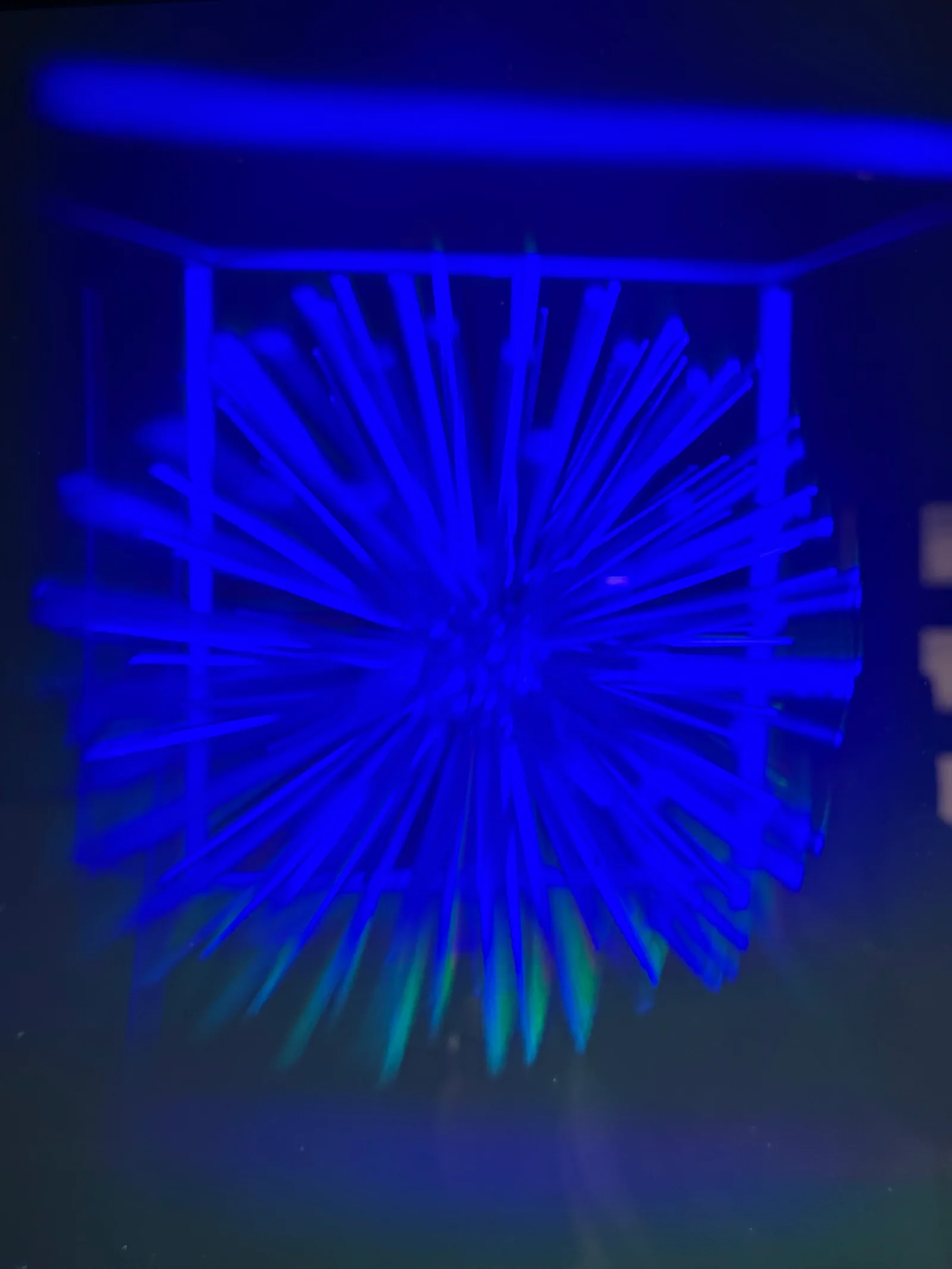Atmosphere at Museum of Illusions Genève Geneva — travel photo